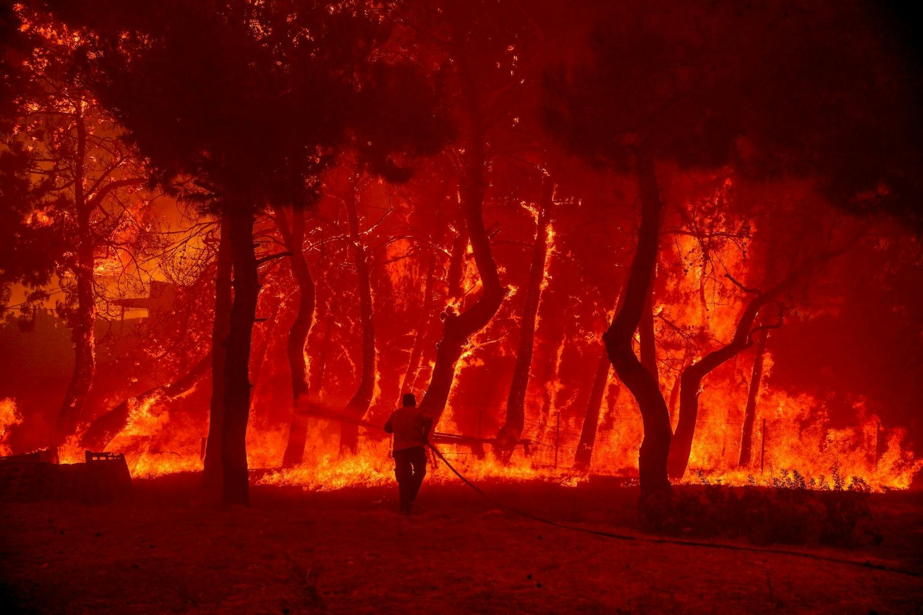 dpatopbilder - Ein Wald steht in Flammen: Ein Mann geht mit einem Löschschlauch auf der Ferieninsel Lesbos auf das Feuer zu. Press Wire/dpa