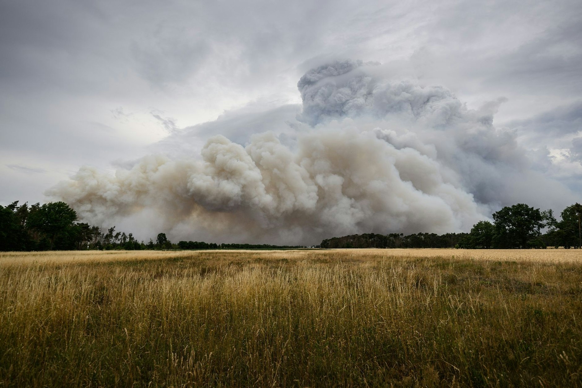 Rauch steigt aus einem Waldbrandgebiet in Brandenburg in den Himmel.