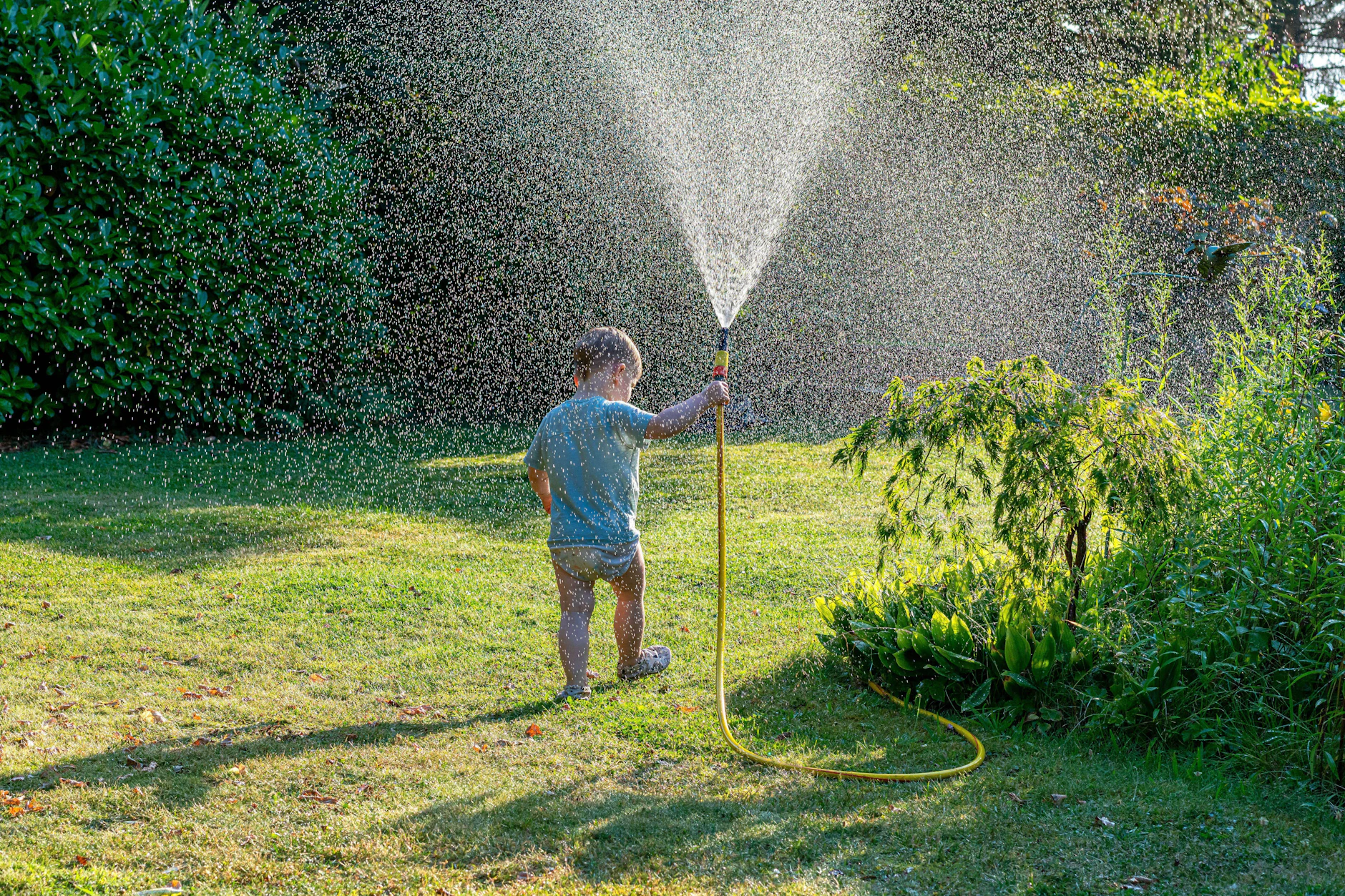 Rasensprengen am Tag macht zwar Spaß, könnte aber bald auch in Berlin verboten sein