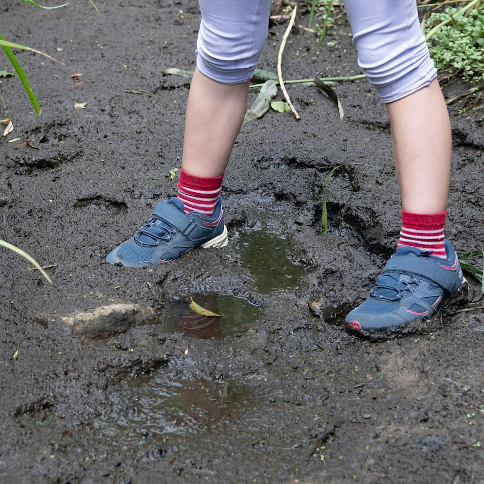 Fluss Panke ohne Wasser: Rasensprengen wird eingeschränkt