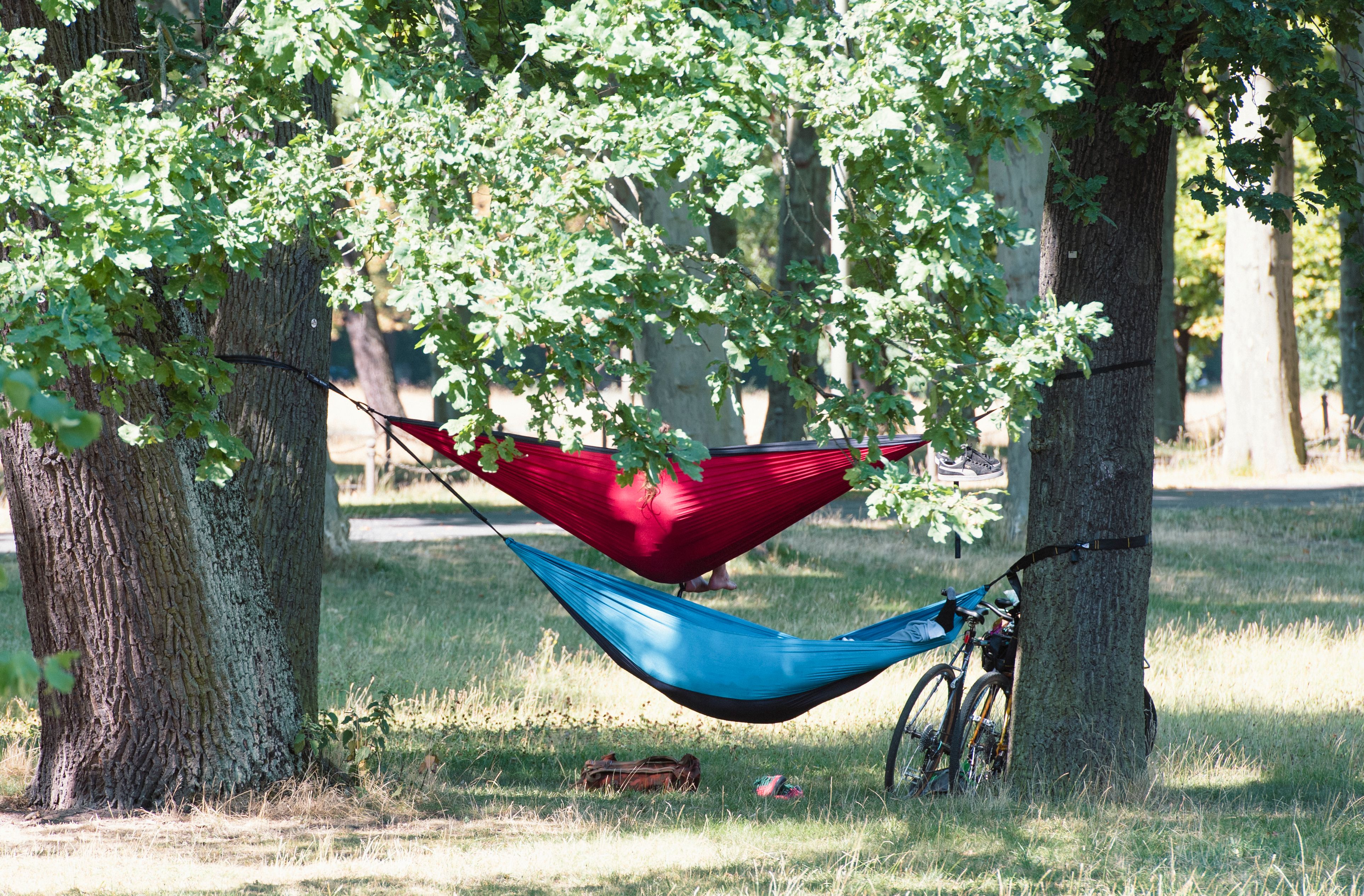Image - Wetter: Kurzer, aber heftiger Hitzevorstoß – auch 40 Grad sind wieder drin