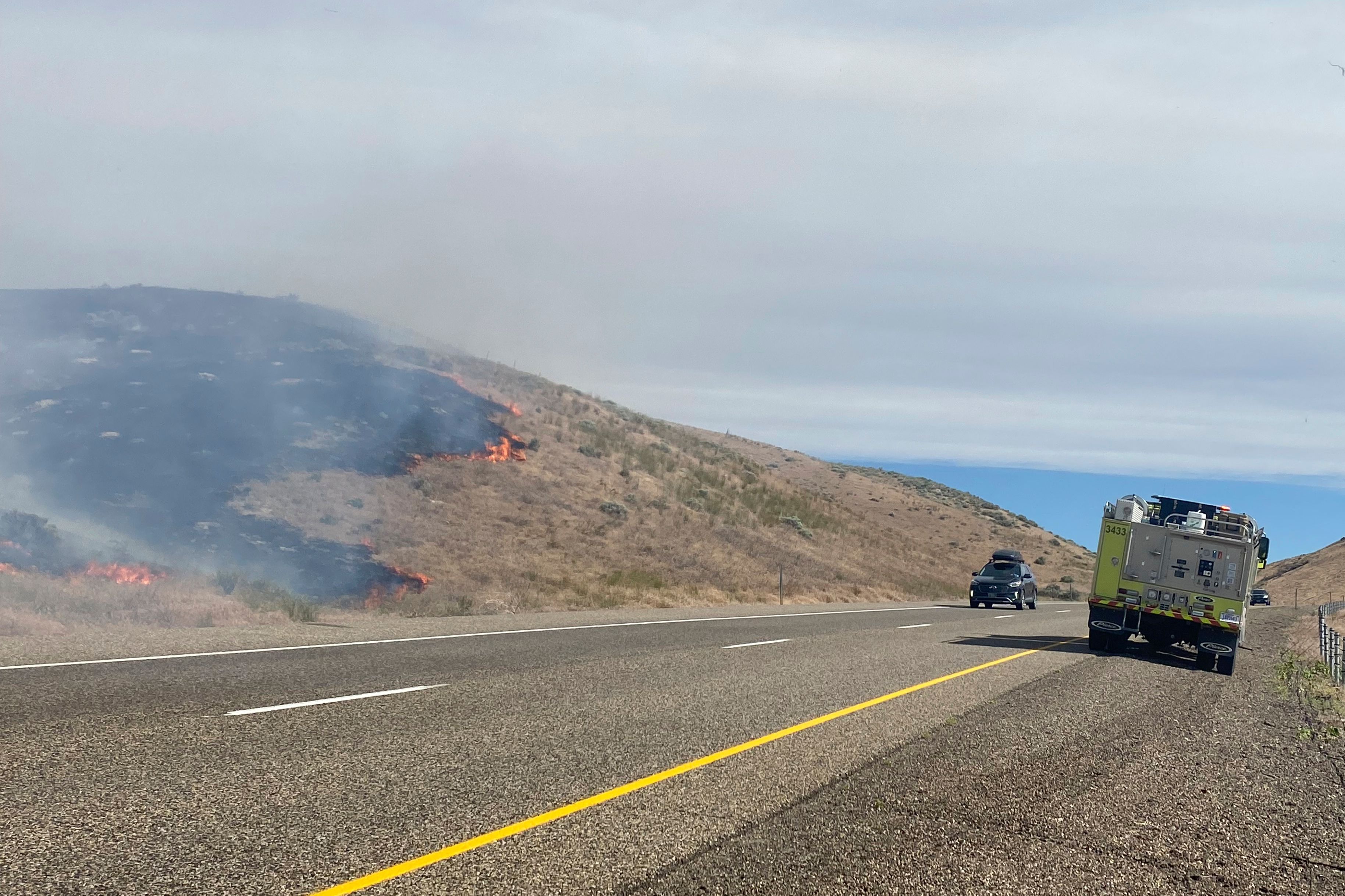 Image - Waldstück angezündet: Anwohner stellen Brandstifter und fesseln ihn an einen Baum!