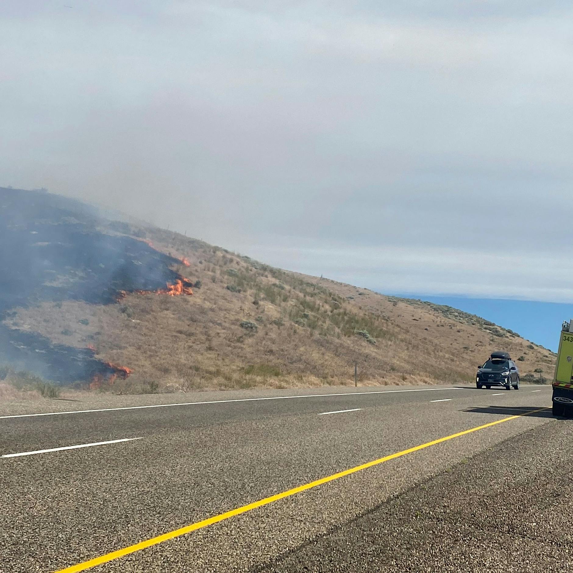 Waldstück angezündet: Anwohner stellen Brandstifter und fesseln ihn an einen Baum!