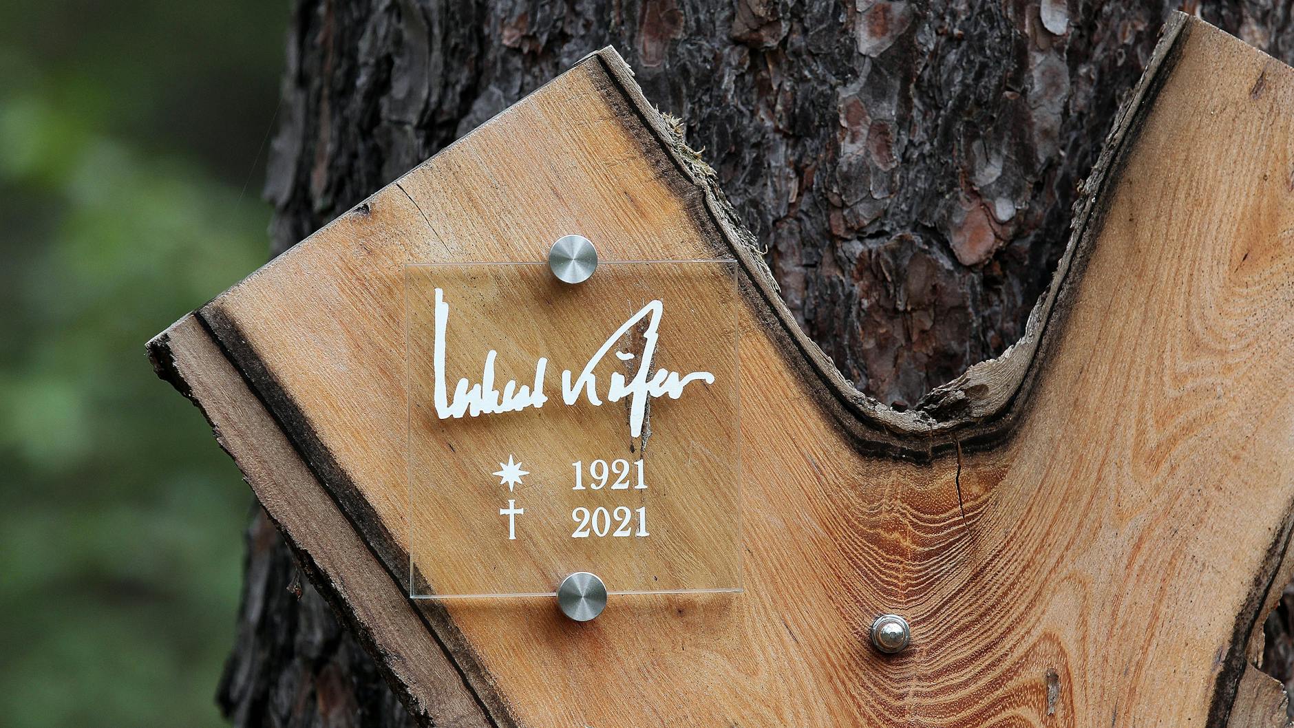 Das Baumgrab von Herbert Köfer auf dem Waldfriedhof in Beelitz