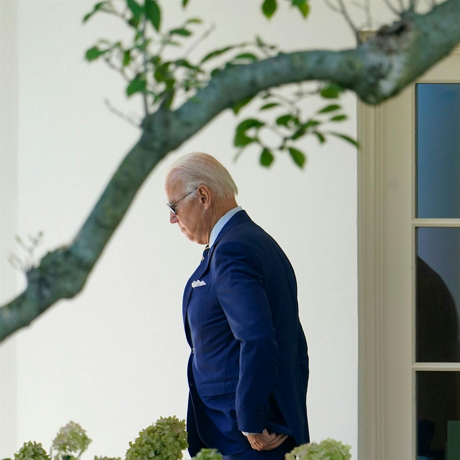 Unterstützung für Biden bröckelt unter Demokraten-Wählern