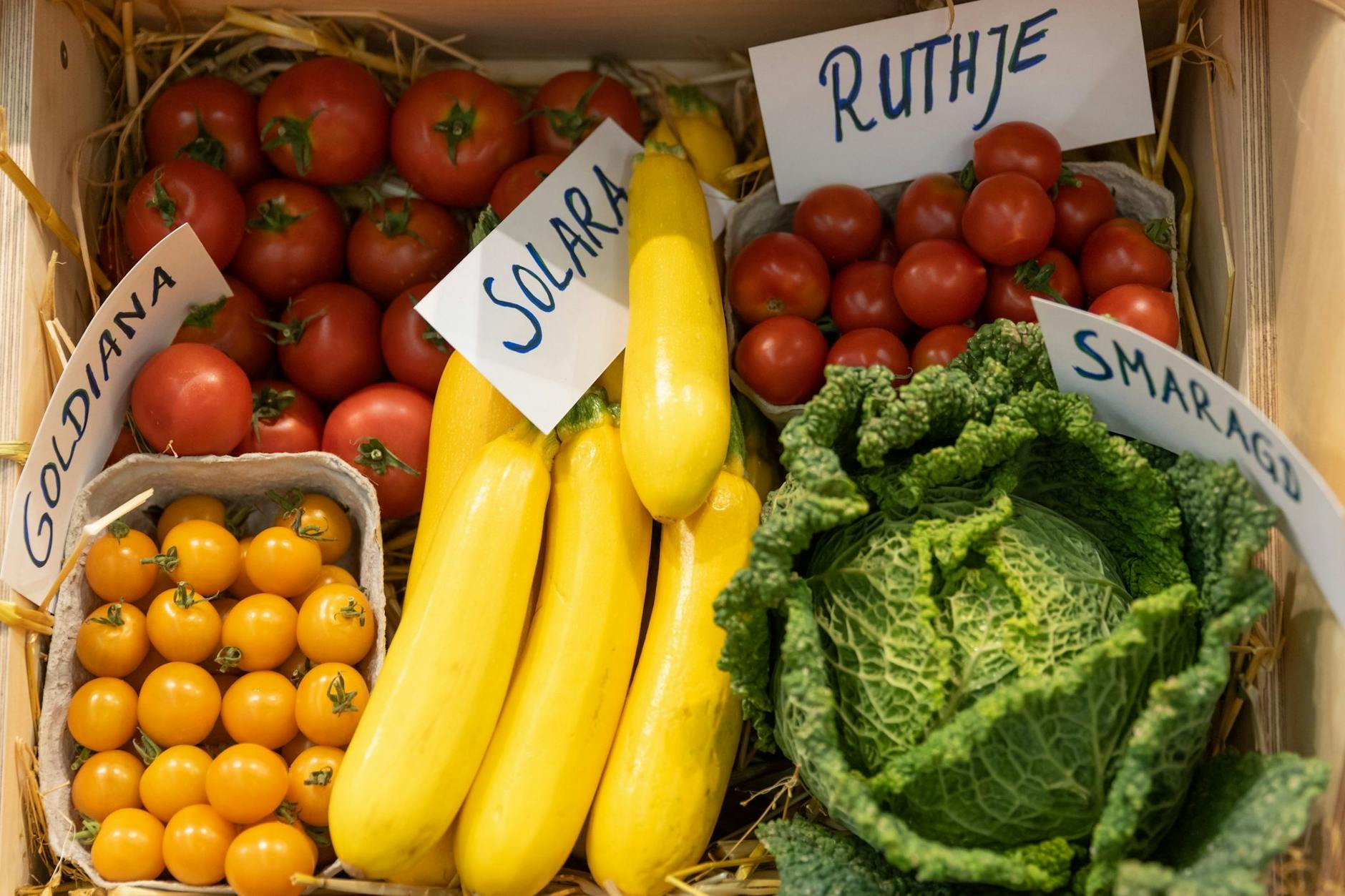 Bio-Gemüse wird auf der Messe Biofach gezeigt.