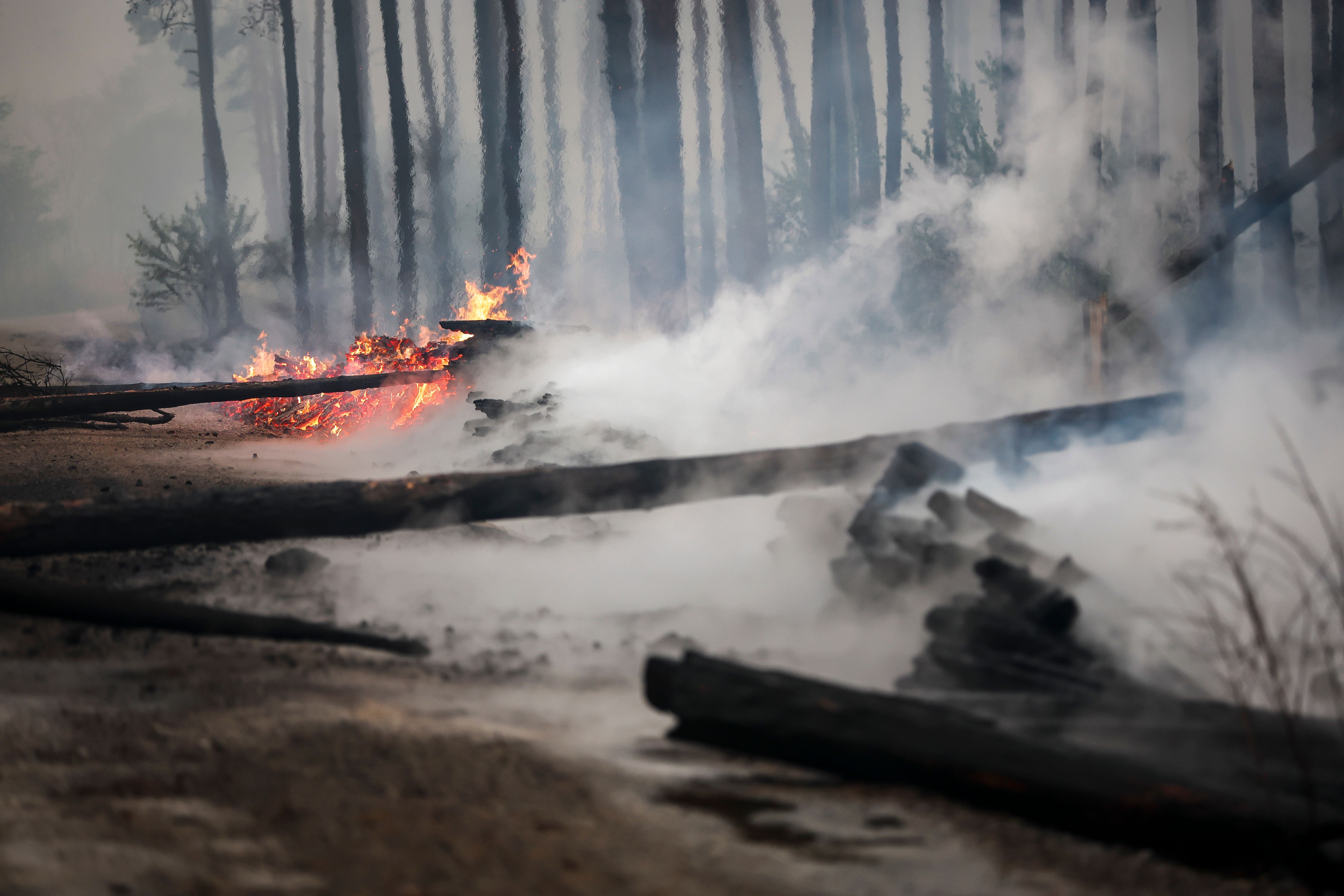 Waldbrand In Brandenburg: „Das War Ein Regelrechtes Inferno“