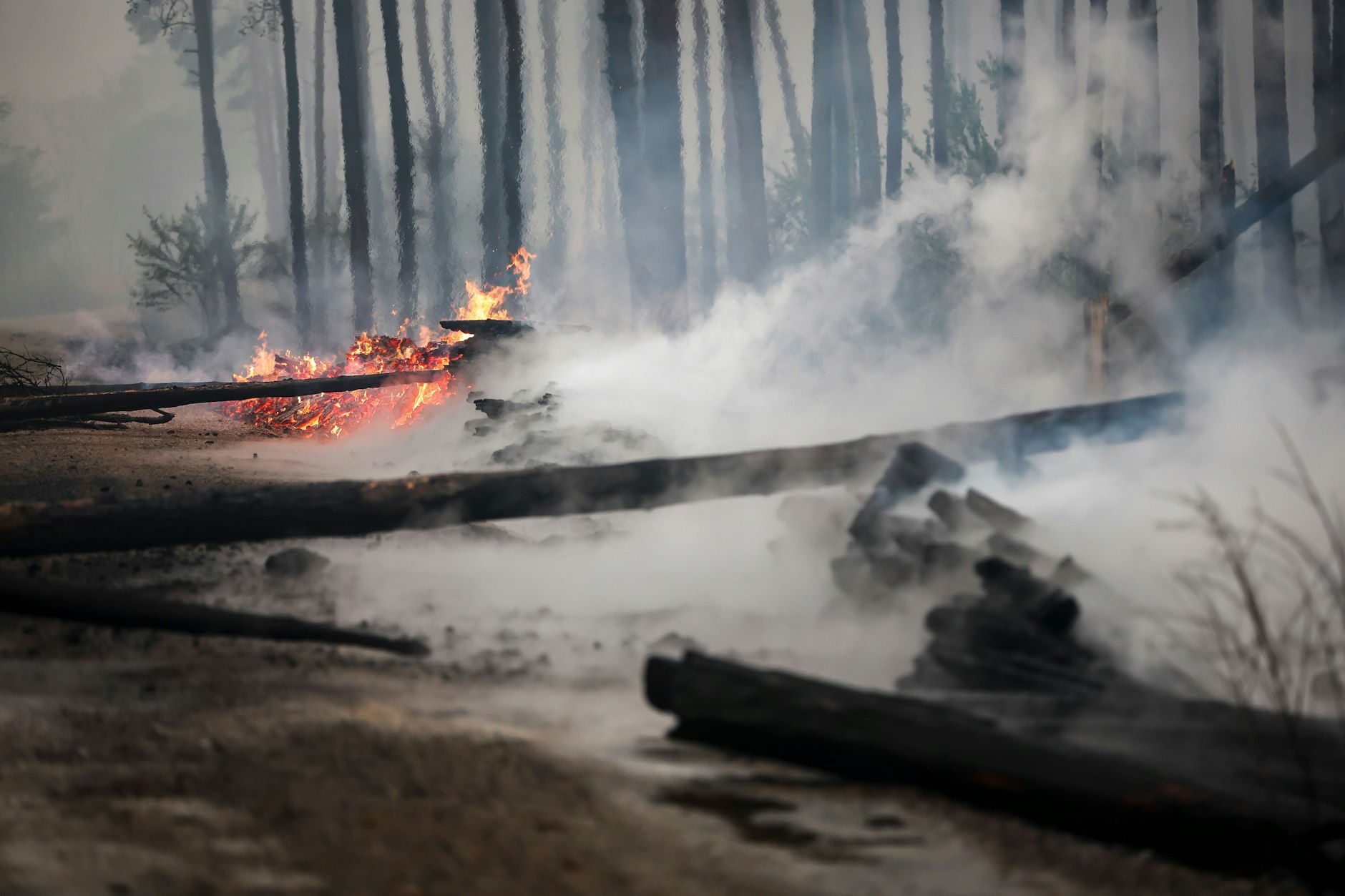 Die Feuerwehr in Brandenburg kämpft weiter gegen den großen Waldbrand in Falkenberg, Landkreis Elbe-Elster.