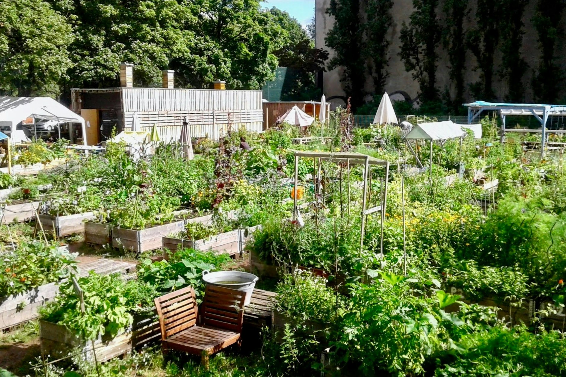 Das „Himmelbeet“ in Wedding: Auch Großstädterinnen können sich durchaus selbst versorgen.