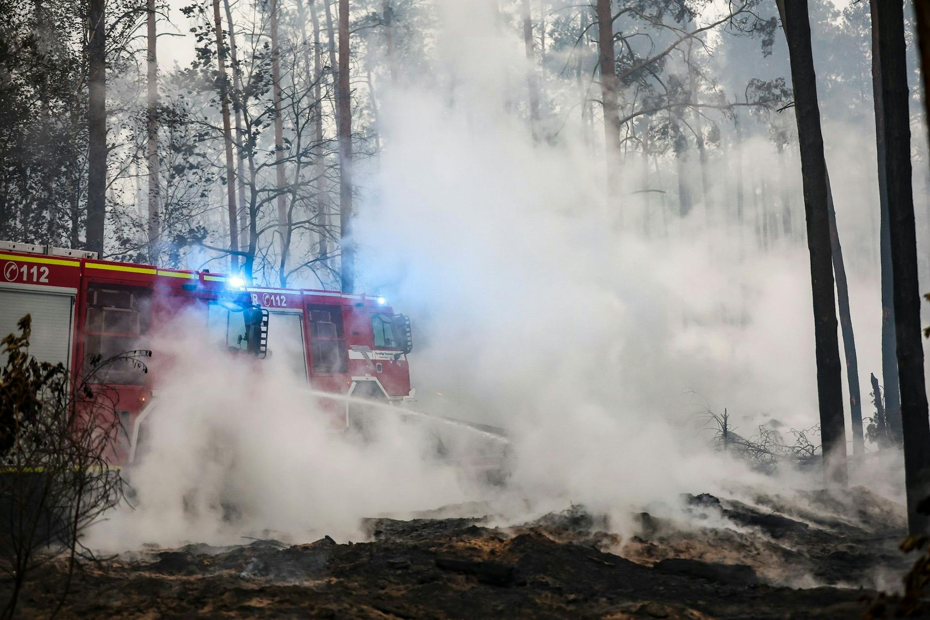 Feuerwehrleute löschen einen Waldbrand im Elbe-Elster-Kreis.