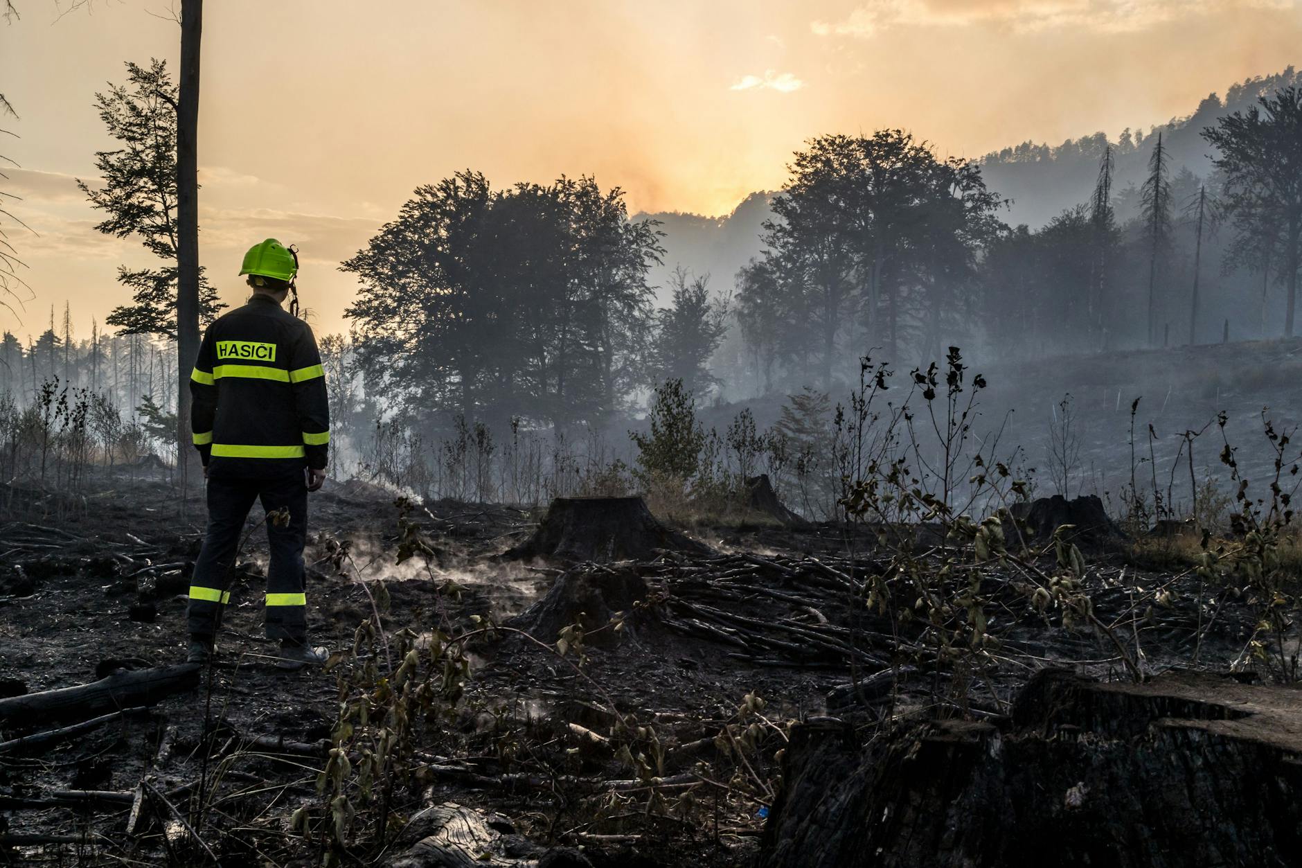 Ein Feuerwehrmann in Uniform steht nahe des tschechischen Grenzortes Hrensko auf einem niedergebrannten Waldstück.