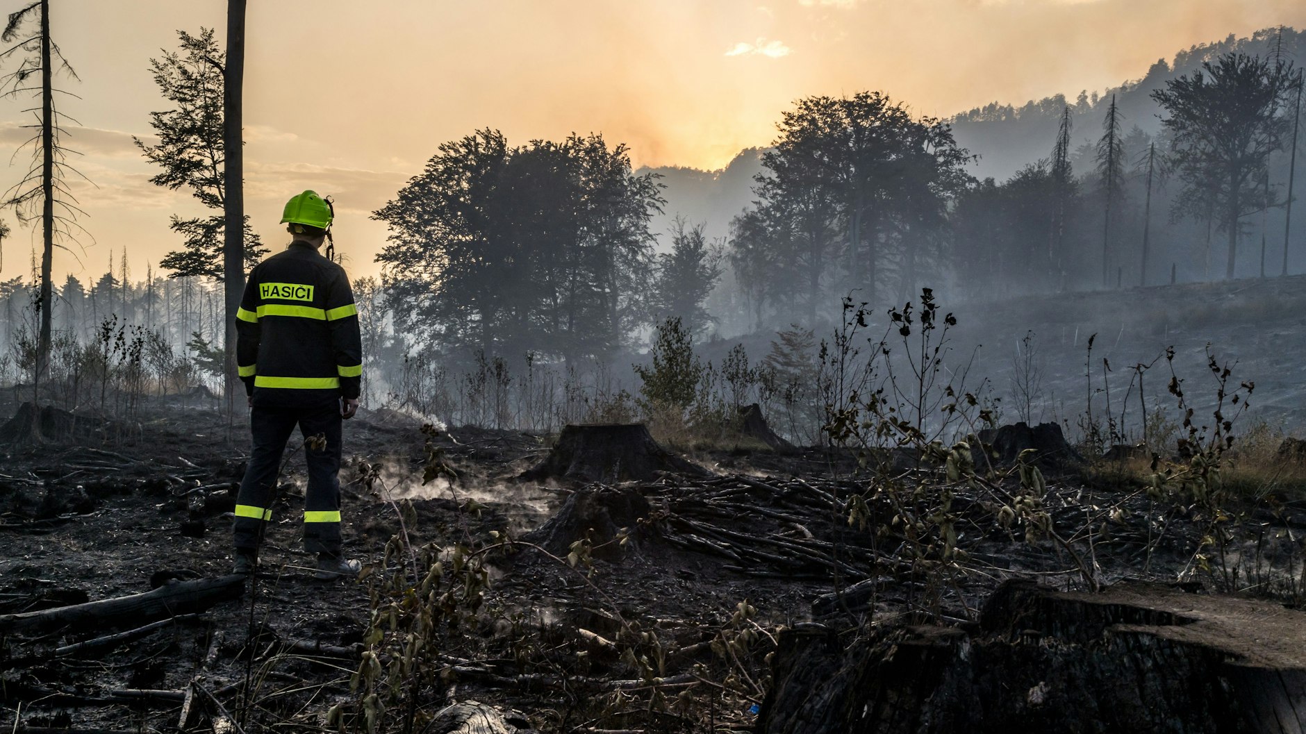 Ein Feuerwehrmann in Uniform steht nahe des tschechischen Grenzortes Hrensko auf einem niedergebrannten Waldstück.