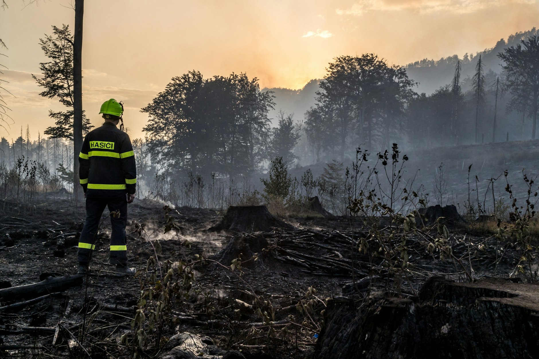 Ein Feuerwehrmann in Uniform steht nahe des tschechischen Grenzortes Hrensko auf einem niedergebrannten Waldstück. 