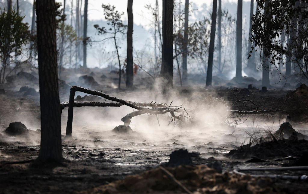 Waldbrand-Experte: „Es ist nur eine Frage der Zeit, bis es auch in Berlin brennt“