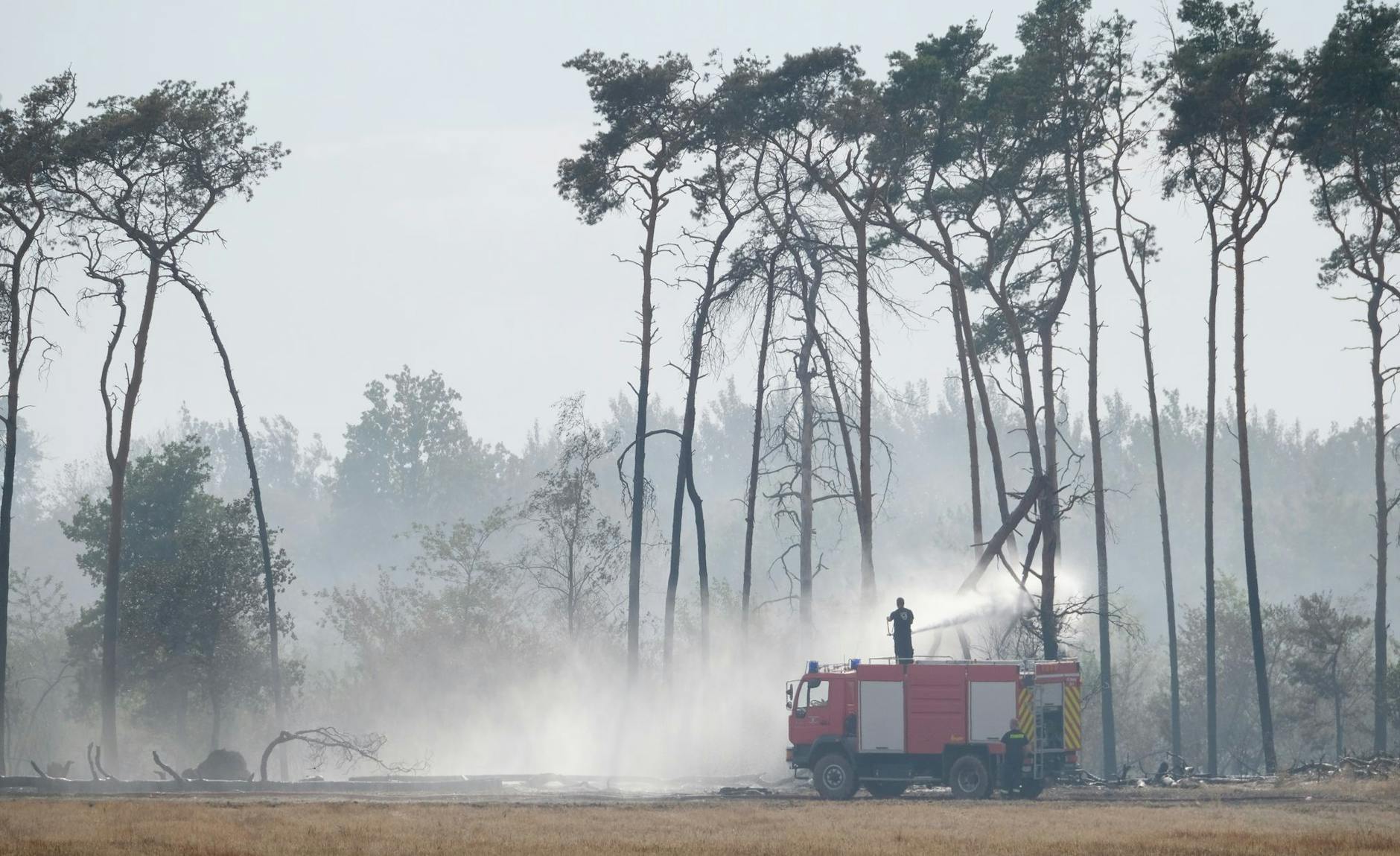 dpatopbilder - Die Feuerwehr löscht einen Waldbrand im Landkreis Elbe-Elster.