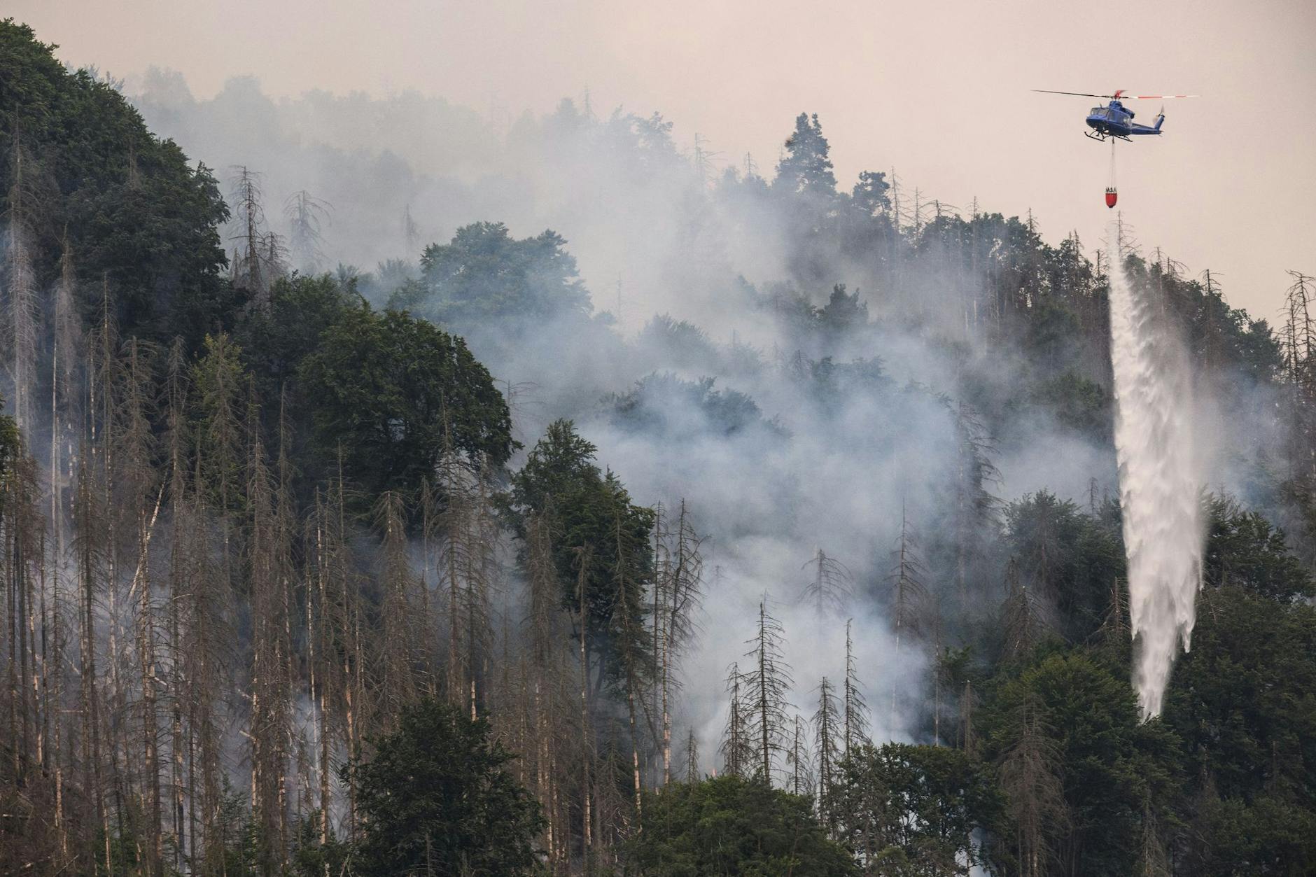Kampf gegen die Flammen aus der Luft in der Böhmischen Schweiz: Der Waldbrand hat sich mittlerweile auf eine Fläche von fast 1000 Hektar ausgebreitet.
