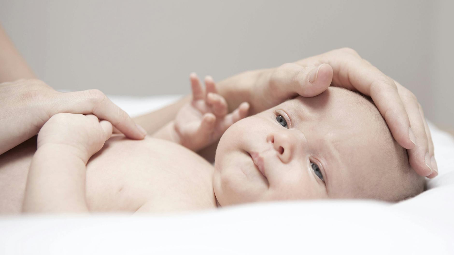 Wir sind uns nicht sicher, ob dieser Mensch seine Zustimmung gegeben hat, das wir ihn uns hier anschauen dürfen. Andererseits ist er süß.