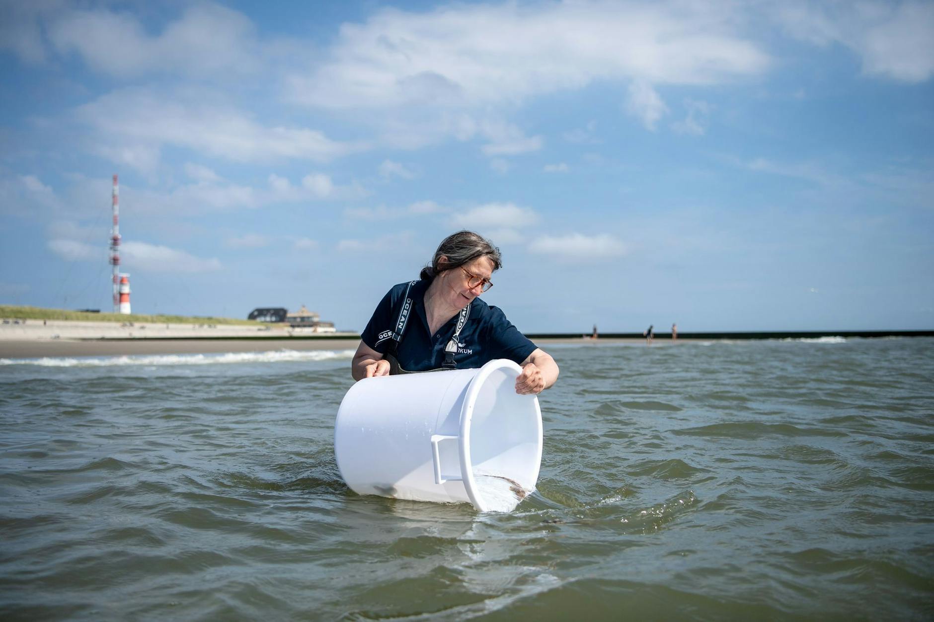 Maria Oetjen lässt Jungtiere vom Kleingefleckten Katzenhai aus einem Eimer in die Nordsee schwimmen.