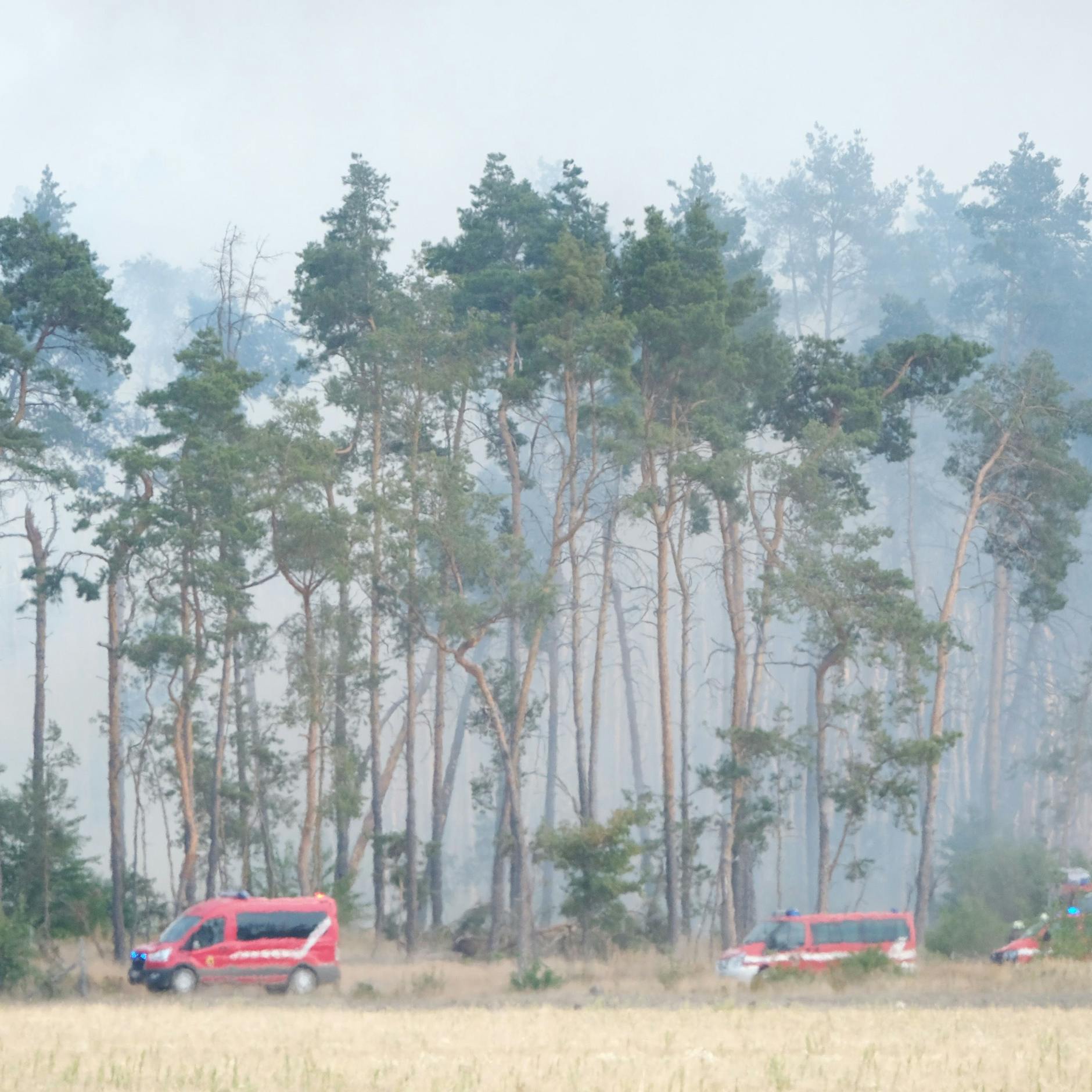 Waldbrand in Brandenburg: 360 Feuerwehrleute im Dauereinsatz