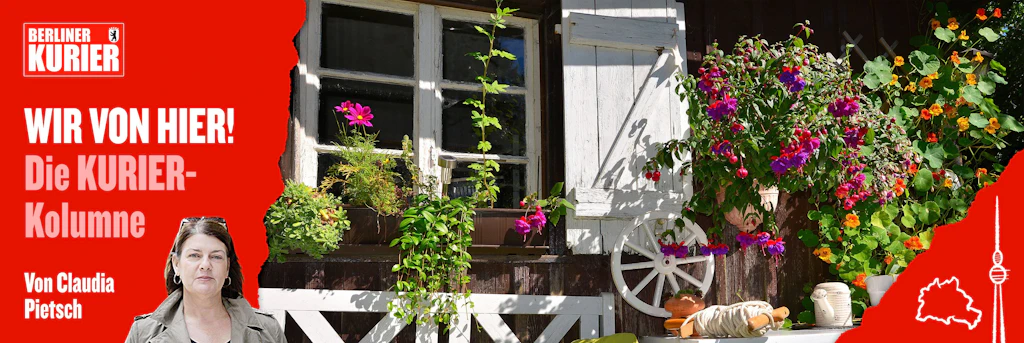 Weniger Wasser für den Garten: Mit diesen Tricks kann man den Verbrauch etwas drosseln