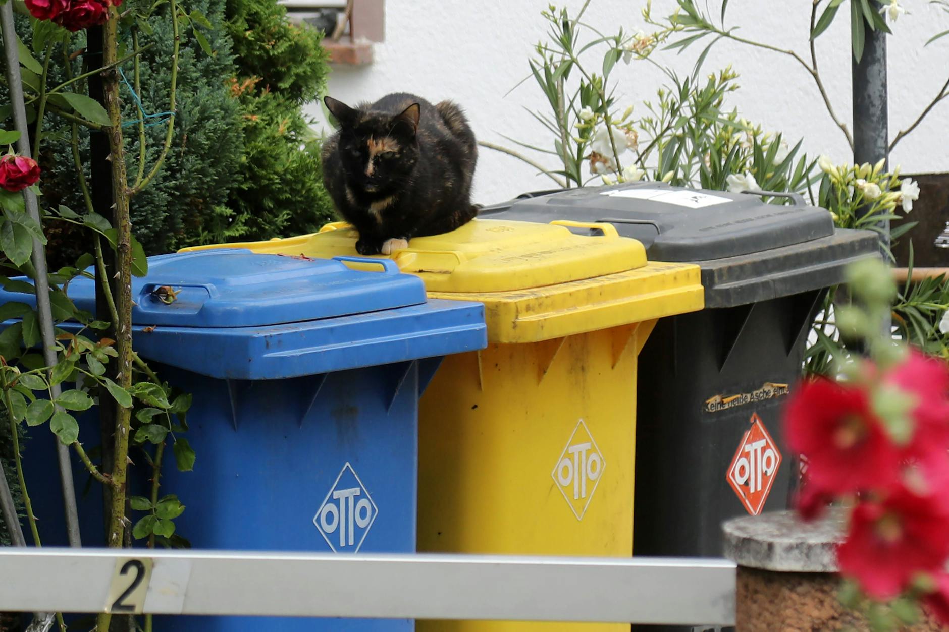 Vor allem im Sommer riechen Mülleimer und Mülltonne schnell unangenehm - doch man kann mit leichten Tricks etwas dagegen tun.