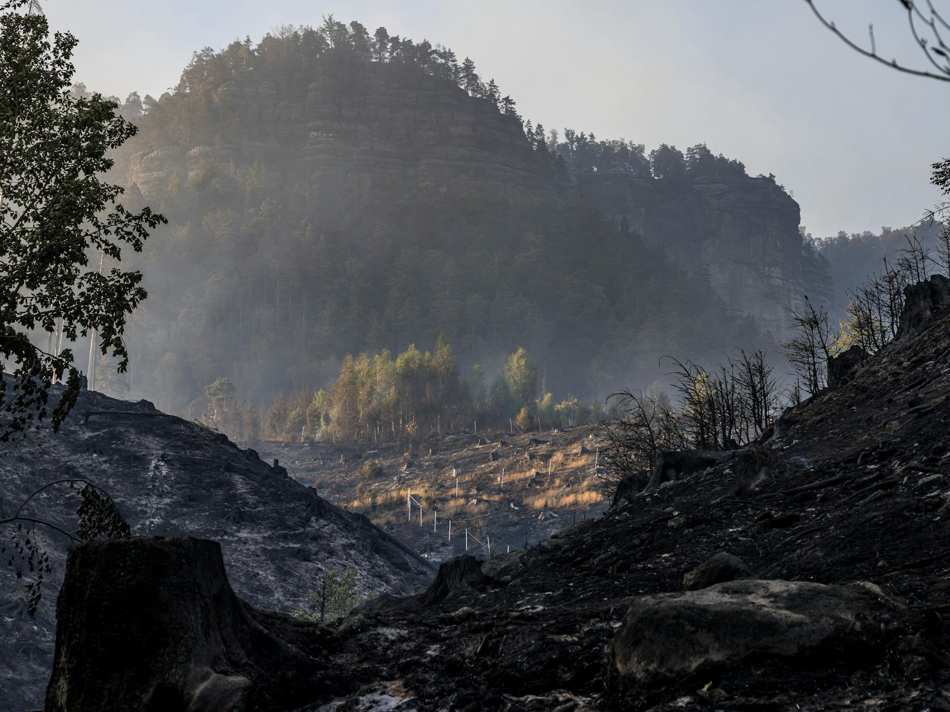Verbrannte Erde ist im Nationalpark Böhmische Schweiz zu sehen. Nach den Waldbränden wird die Natur lange brauchen, bis sie sich wieder regeneriert hat.