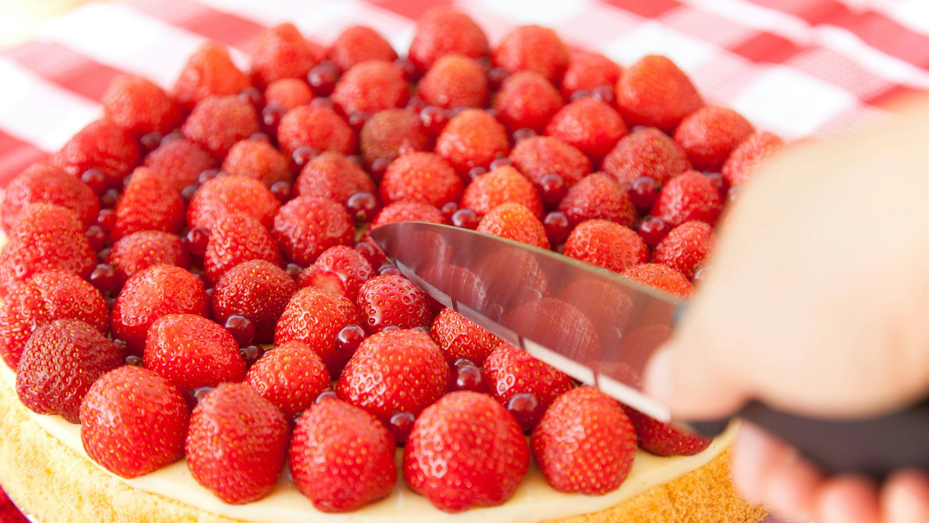 Ein Erdbeerkuchen mit einem lockeren Biskuitboden und Vanillepudding schmeckt einfach immer - das Rezept ist bodenständig und simpel.