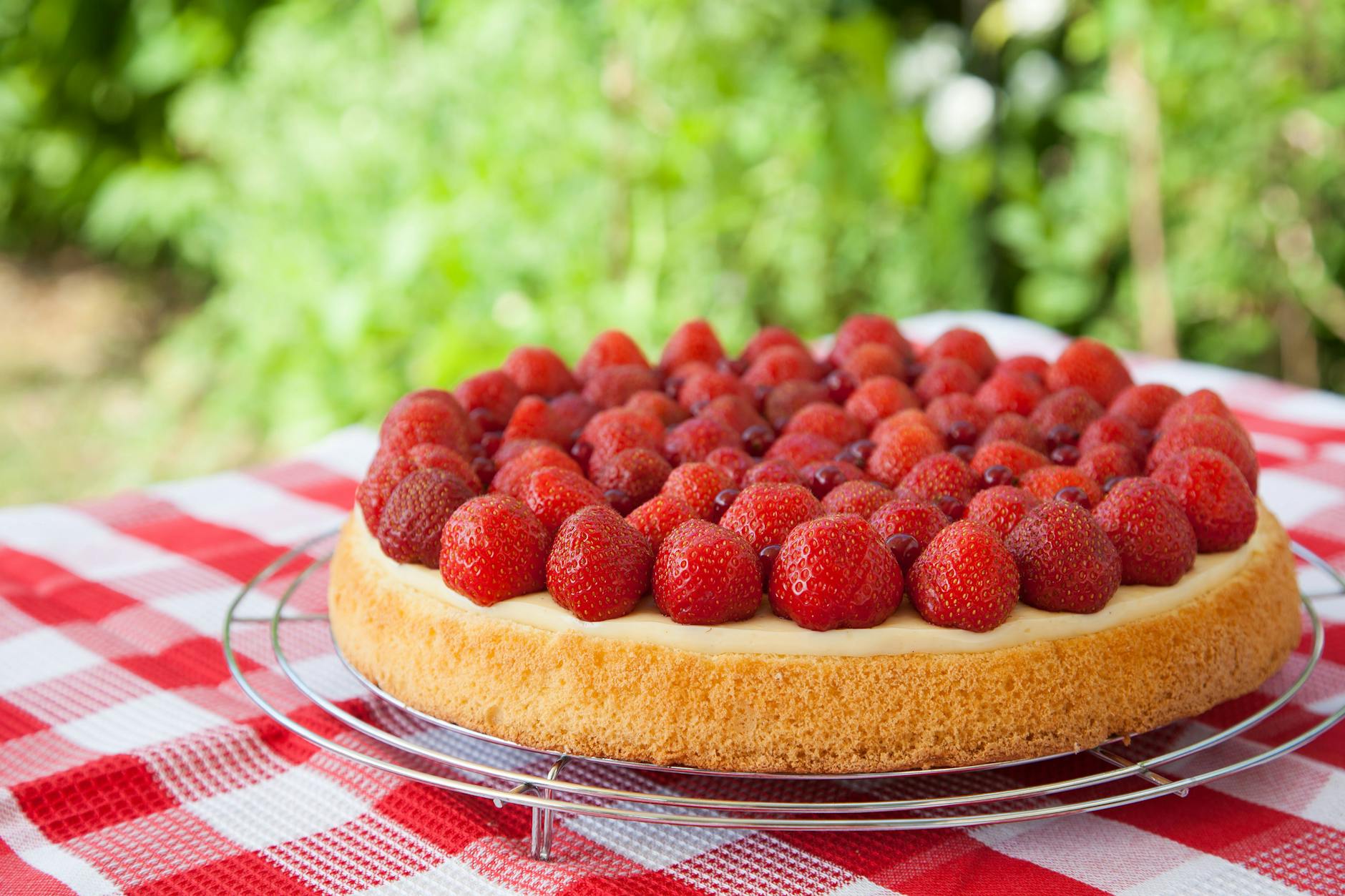 Mmmh, lecker! Dieser Erdbeerkuchen mit Biskuitboden und Vanillepudding ist einfach köstlich - und durch die schnelle Zubereitung ist er eine echte Turbo-Torte!