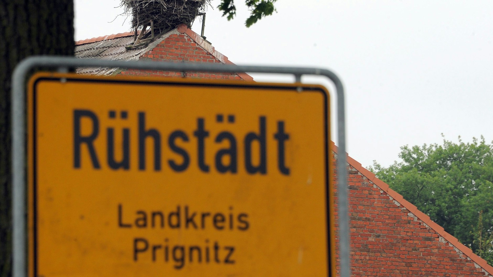 Im Storchendorf Rühstädt haben die Storchenexperten in diesem Jahr nur 19 Jungstörche gezählt.