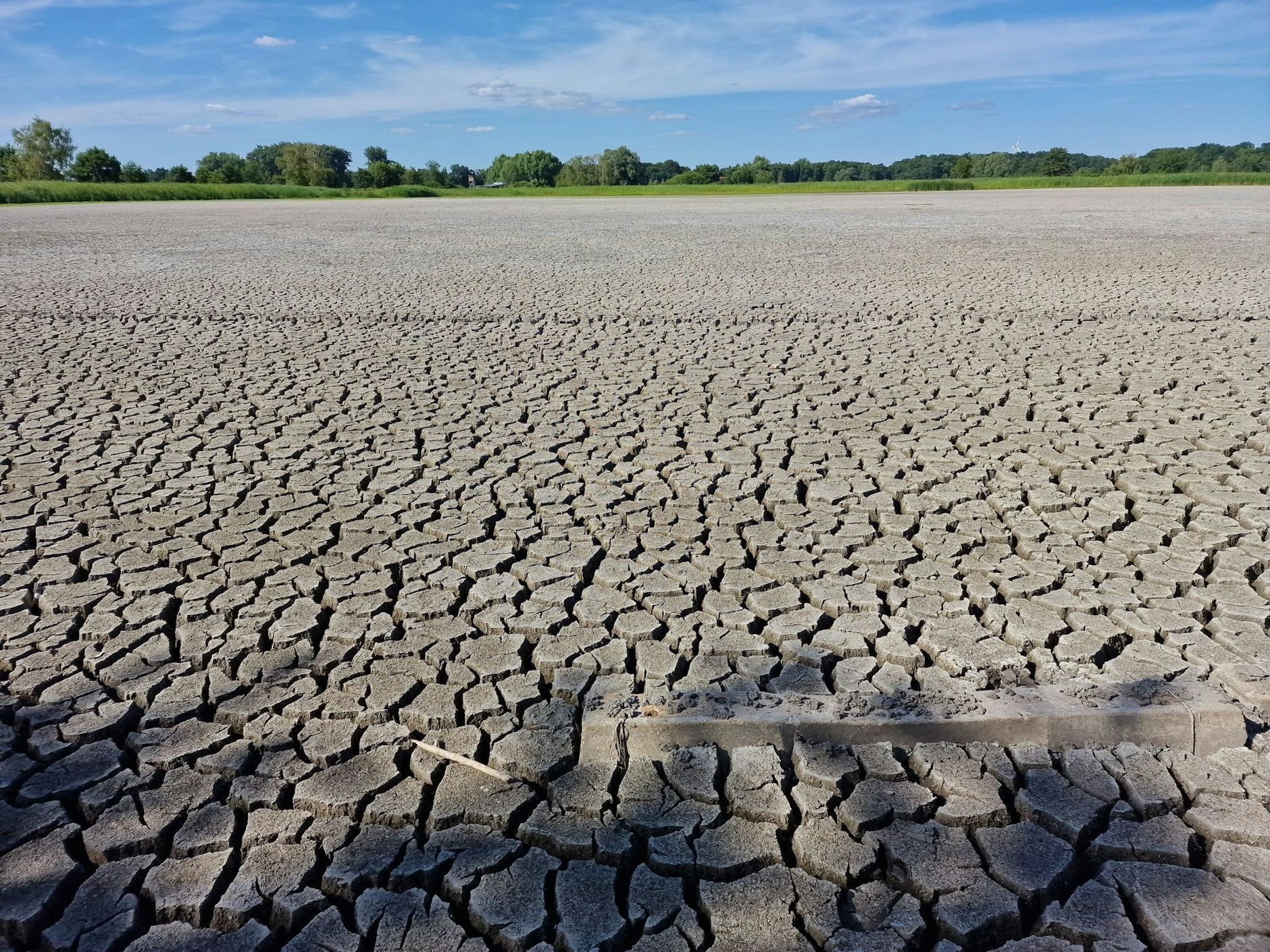 Ausgetrocknete Fischteiche in Brandenburg an der Havel.  