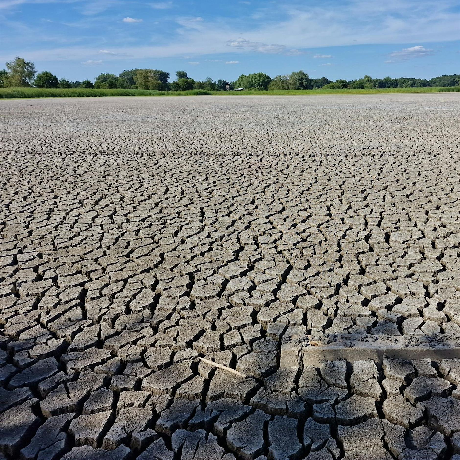 Temperaturen im Juli 2,3 Grad zu hoch