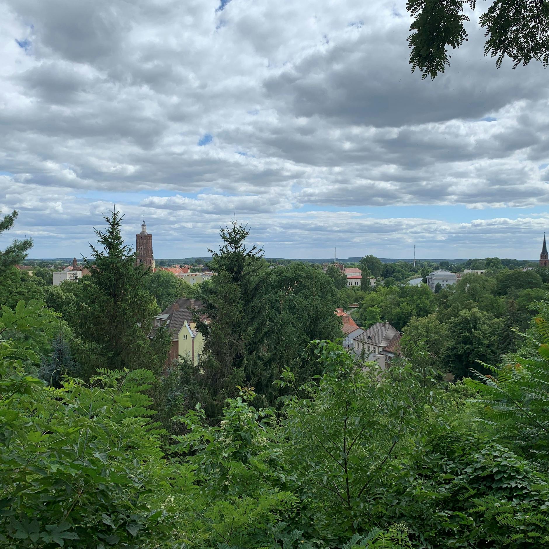 Mies van der Rohes Villa in Traum-Lage mit Traum-Blick – und der Traum von der Wiederauferstehung