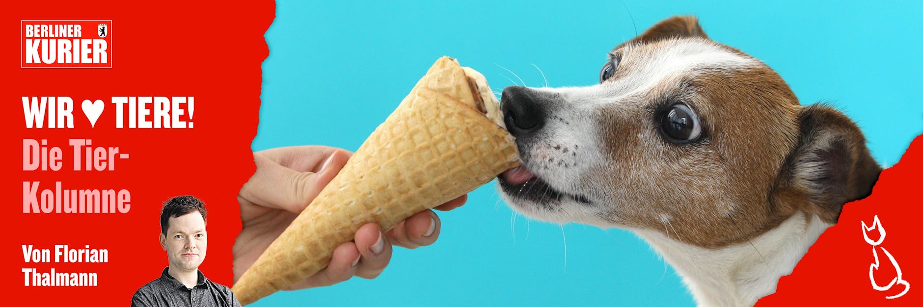 Auch Hunden schmeckt im Sommer ein kühles Eis - es sollte aber speziell für die Tiere hergestellt sein.