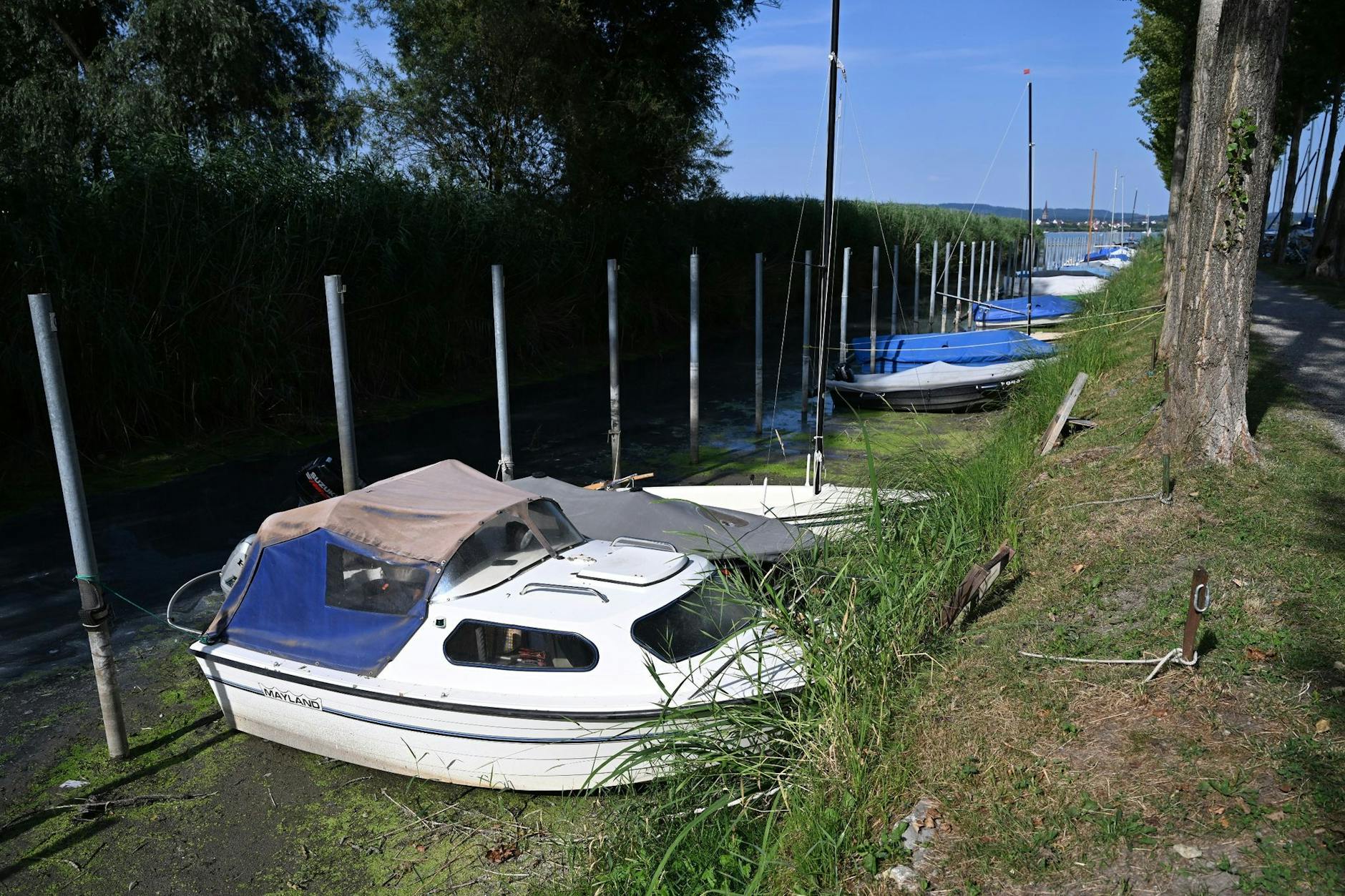Mehrere Boote liegen im Hafen von Moos auf dem Trockenen.
