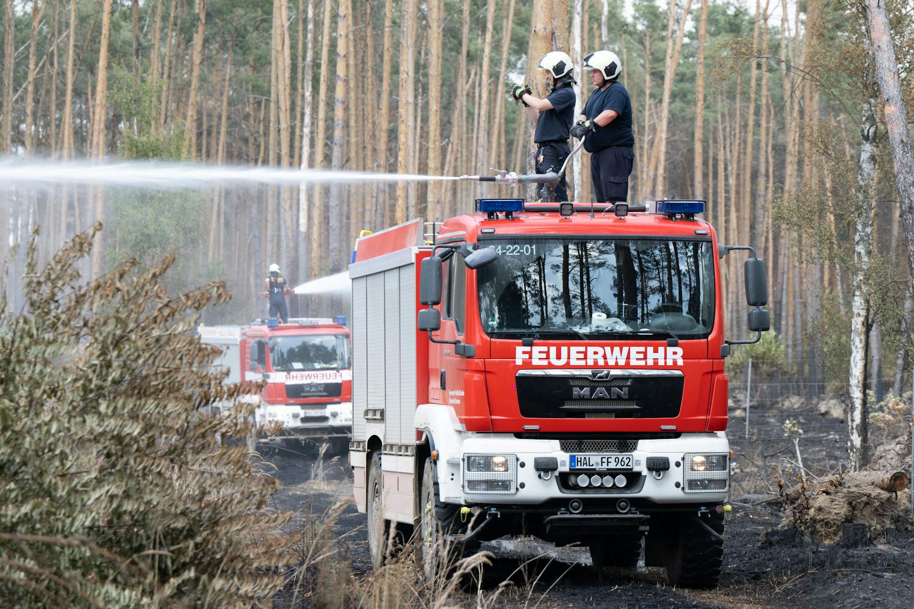 Löscharbeiten der Feuerwehr in einem an Brandenburg angrenzenden Waldbrandgebiet in Nordsachsen.