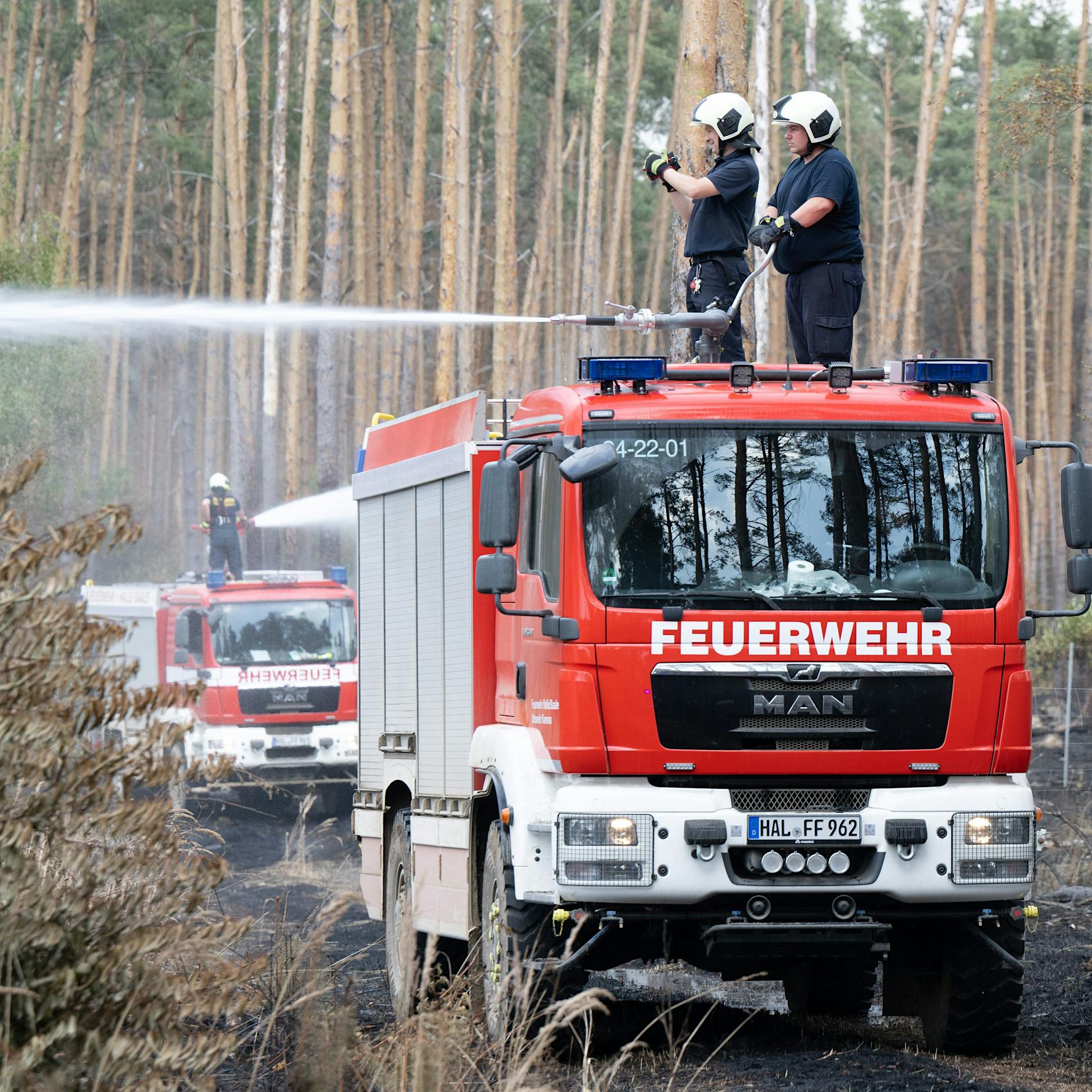 Mann soll Feuer im Süden Brandenburgs gelegt haben – Festnahme