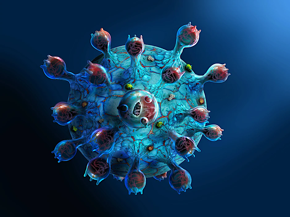 Illustration des Coronavirus
