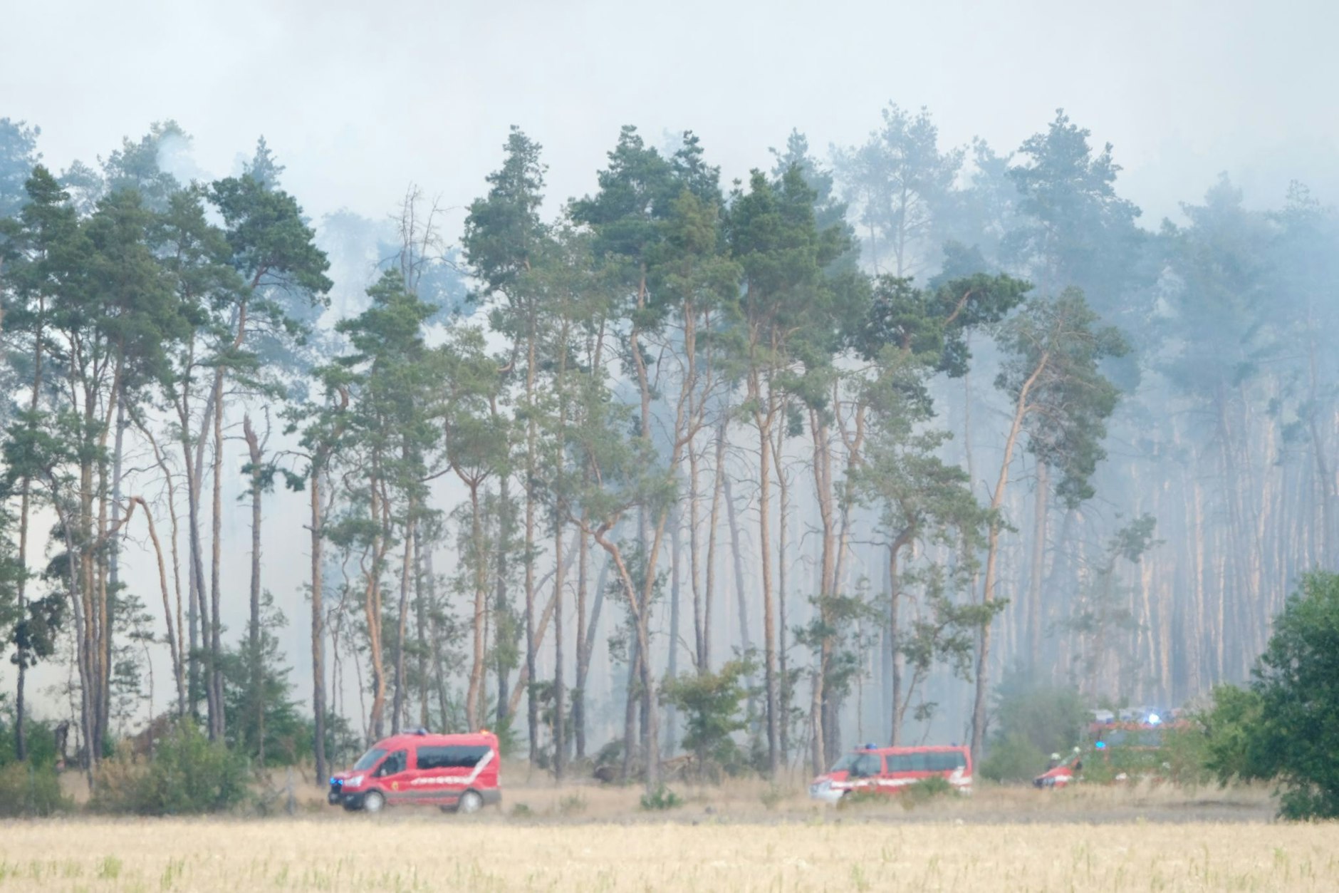 Qualm von Glutnestern und kleineren Feuern steht in einem Wald im Landkreis Elbe-Elster.  
