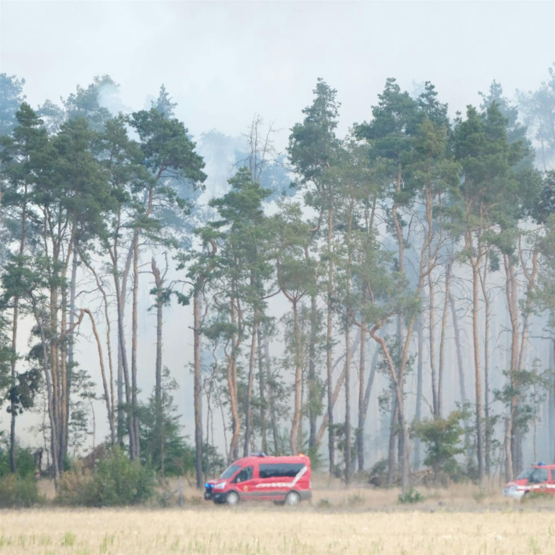 Gefahr im Waldbrandgebiet von Elbe-Elster nicht gebannt