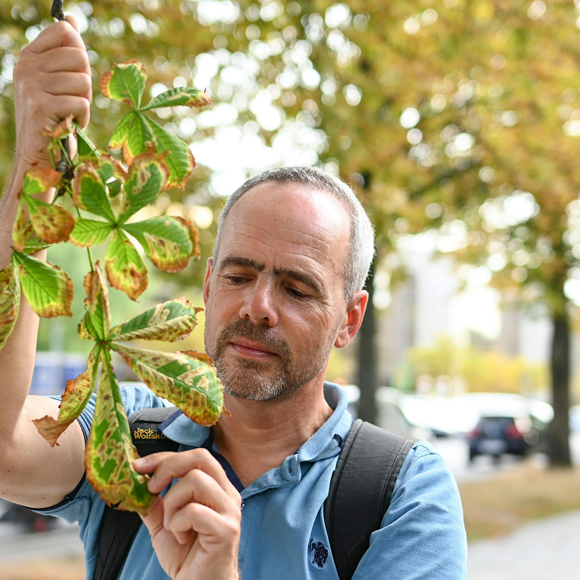 Dürre in Berliner Parks: Ich sehe die Schäden an den Bäumen, das ist schrecklich