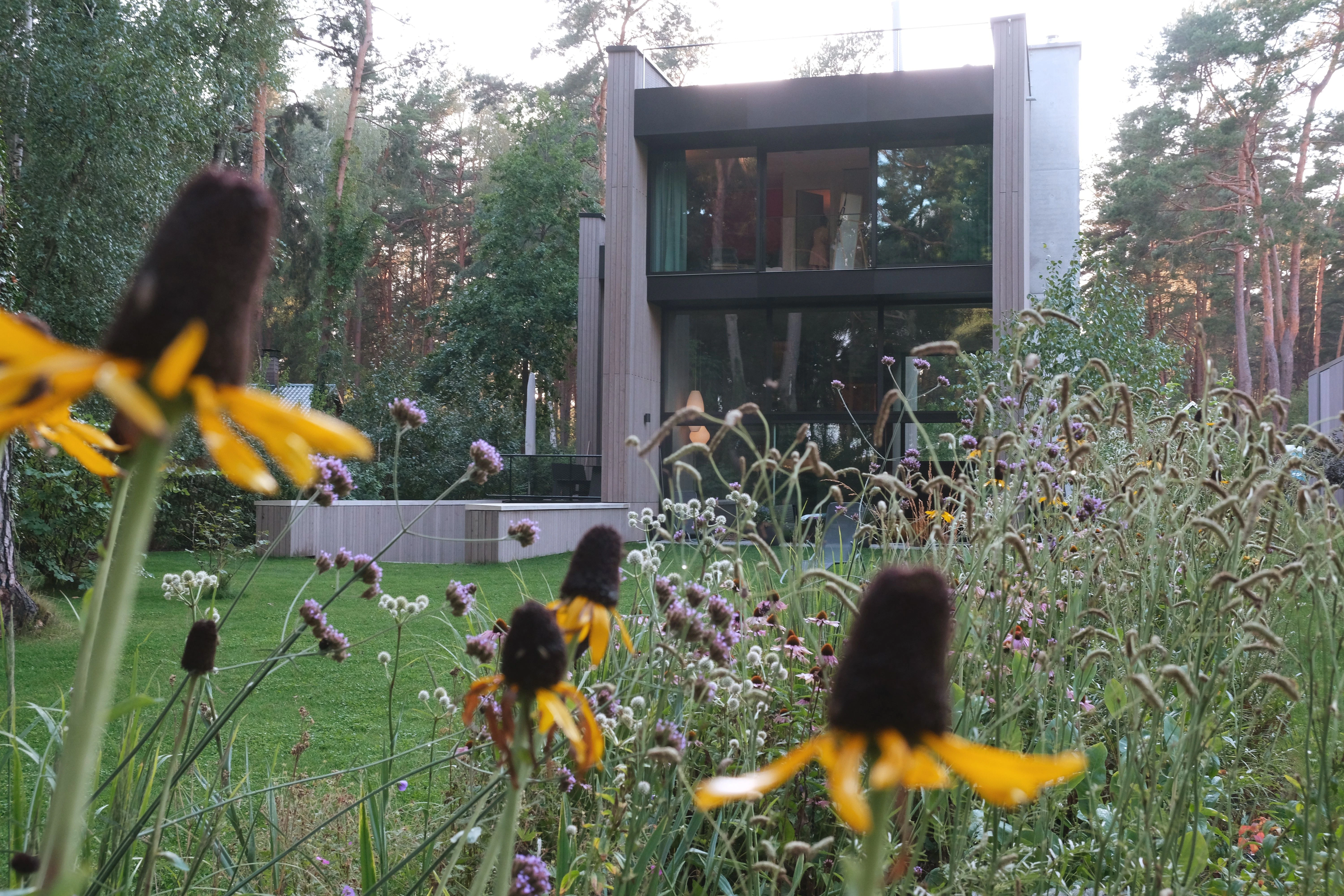 Ein Paradies, 30 Autominuten von Berlin entfernt: das Haus am Wandlitzsee. Den Garten hat Rainer Elstermann geplant und sich dabei auch von den umstehenden hohen Kiefern nicht einschüchtern lassen.