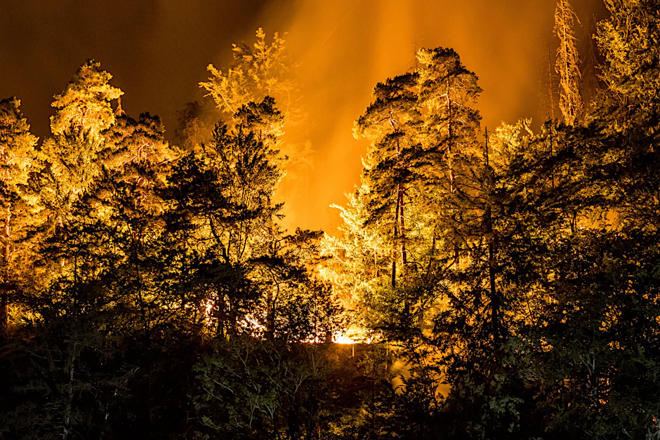 Flammen lodern im tschechischen Hrensko nahe der Grenze zu Sachsen.
