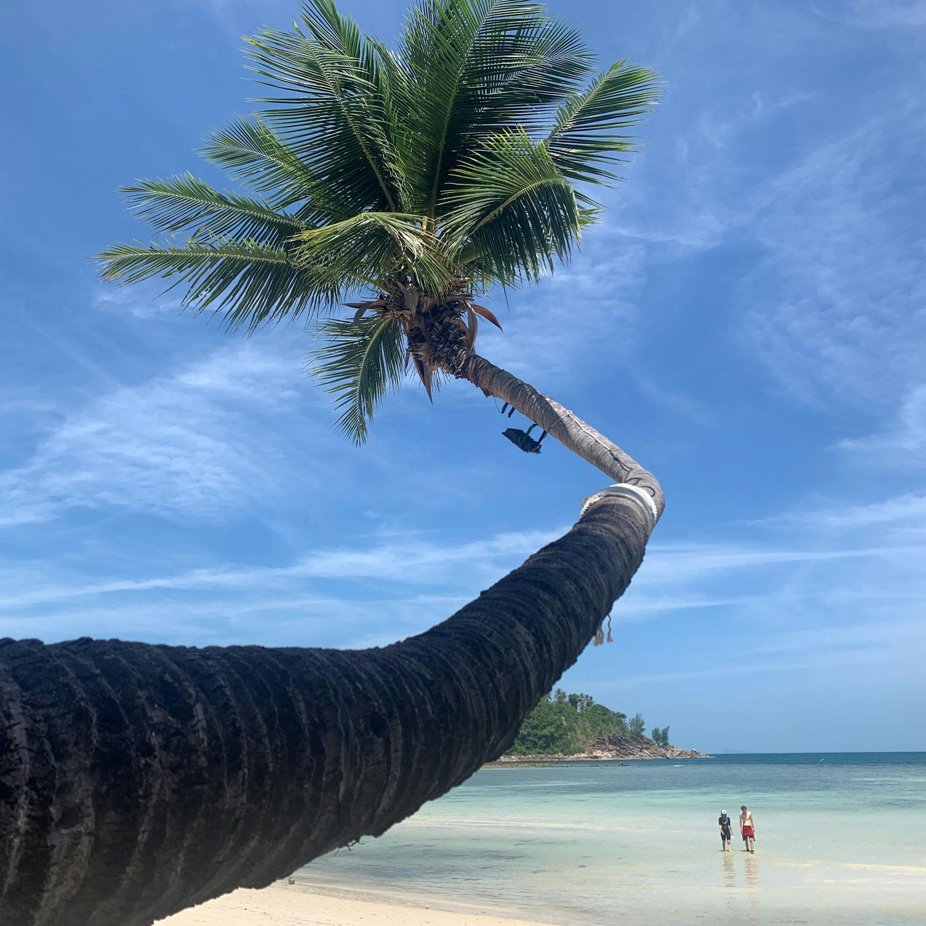 Image - Urlaub ist immer auch eine Zeit der ganz großen Zufälle