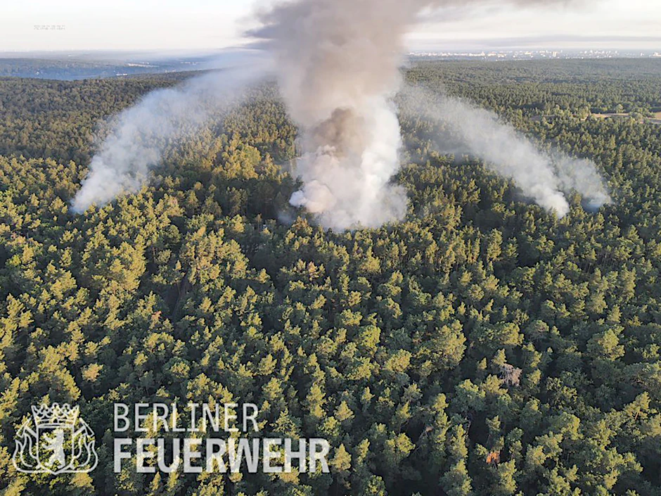 Die Luftaufnahme der Berliner Feuerwehr zeigt den aktuellen Brand im Grunewald.
