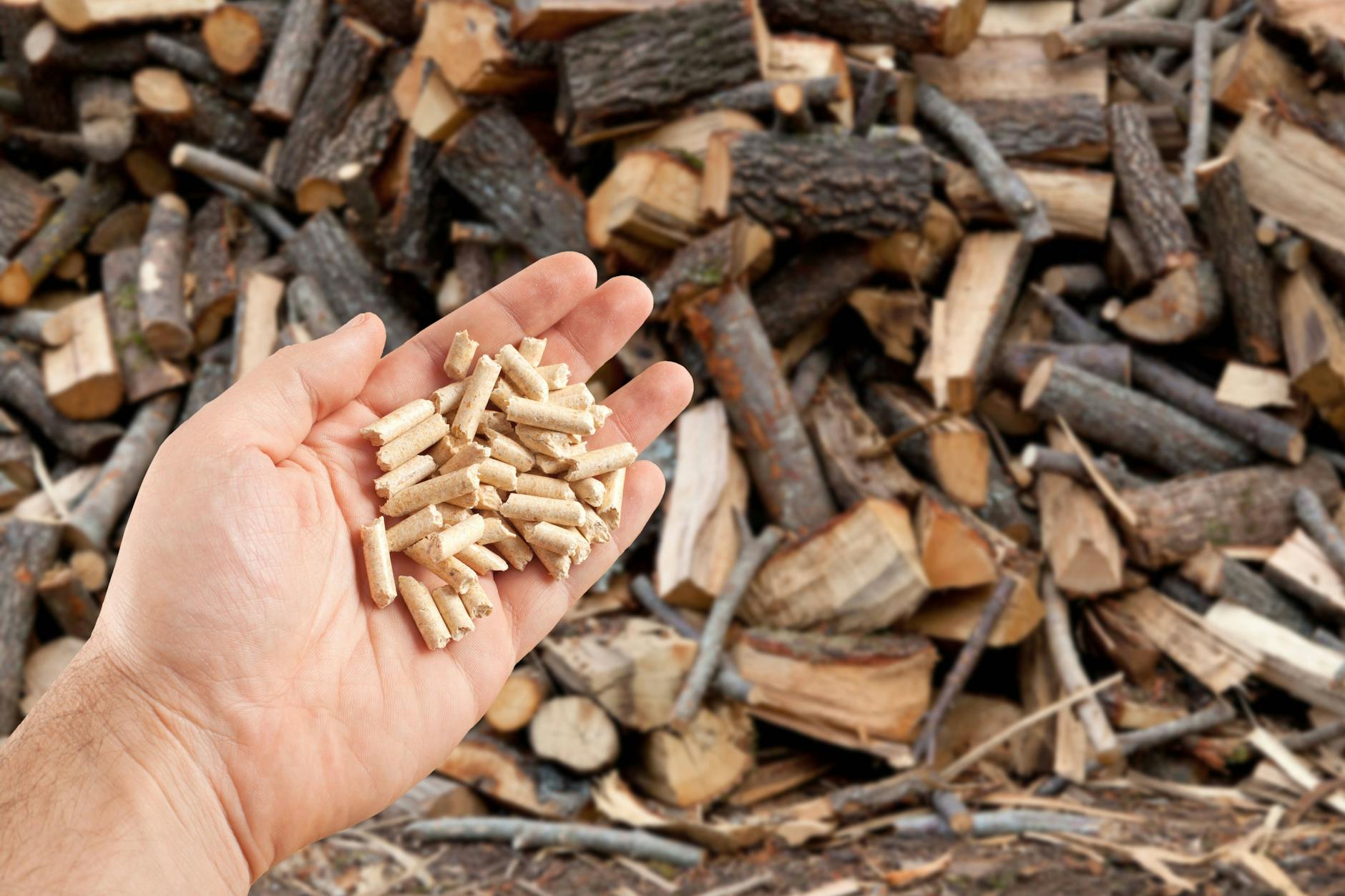 Holzpellets: Angeblich sind es Holzabfälle, tatsächlich stammen sie häufig aus Raubbau.