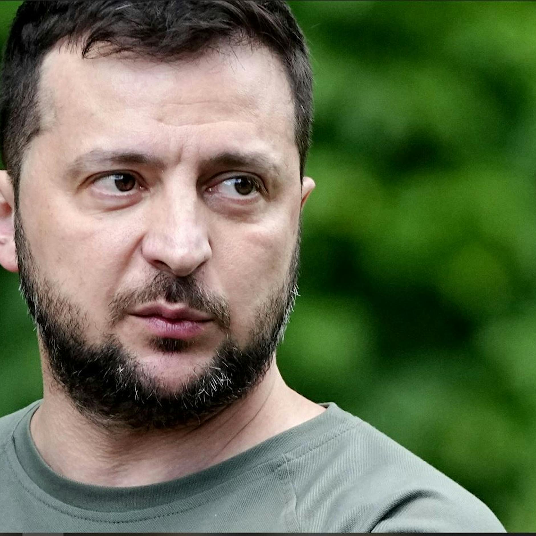 „Ekelhaft“: Selenskyj kritisiert Schröder-Äußerungen zu Russland