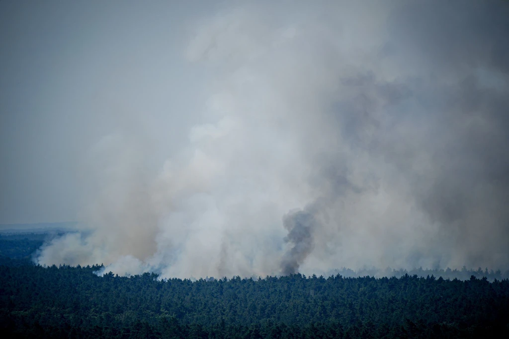 Gefährlicher Feinstaub: Wie Waldbrände die Gesundheit gefährden