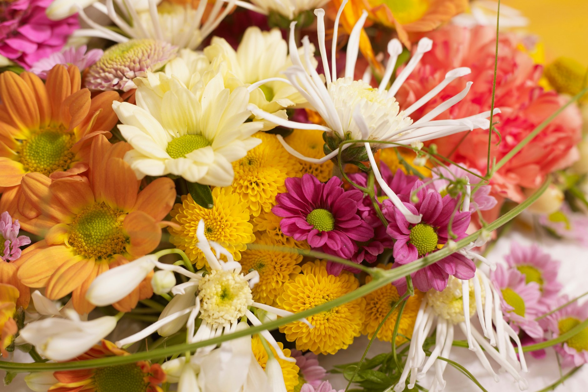 Schöne Blumen gibt es das ganze Jahr über im Blumenladen – und im Sommer oft auch im eigenen Garten.