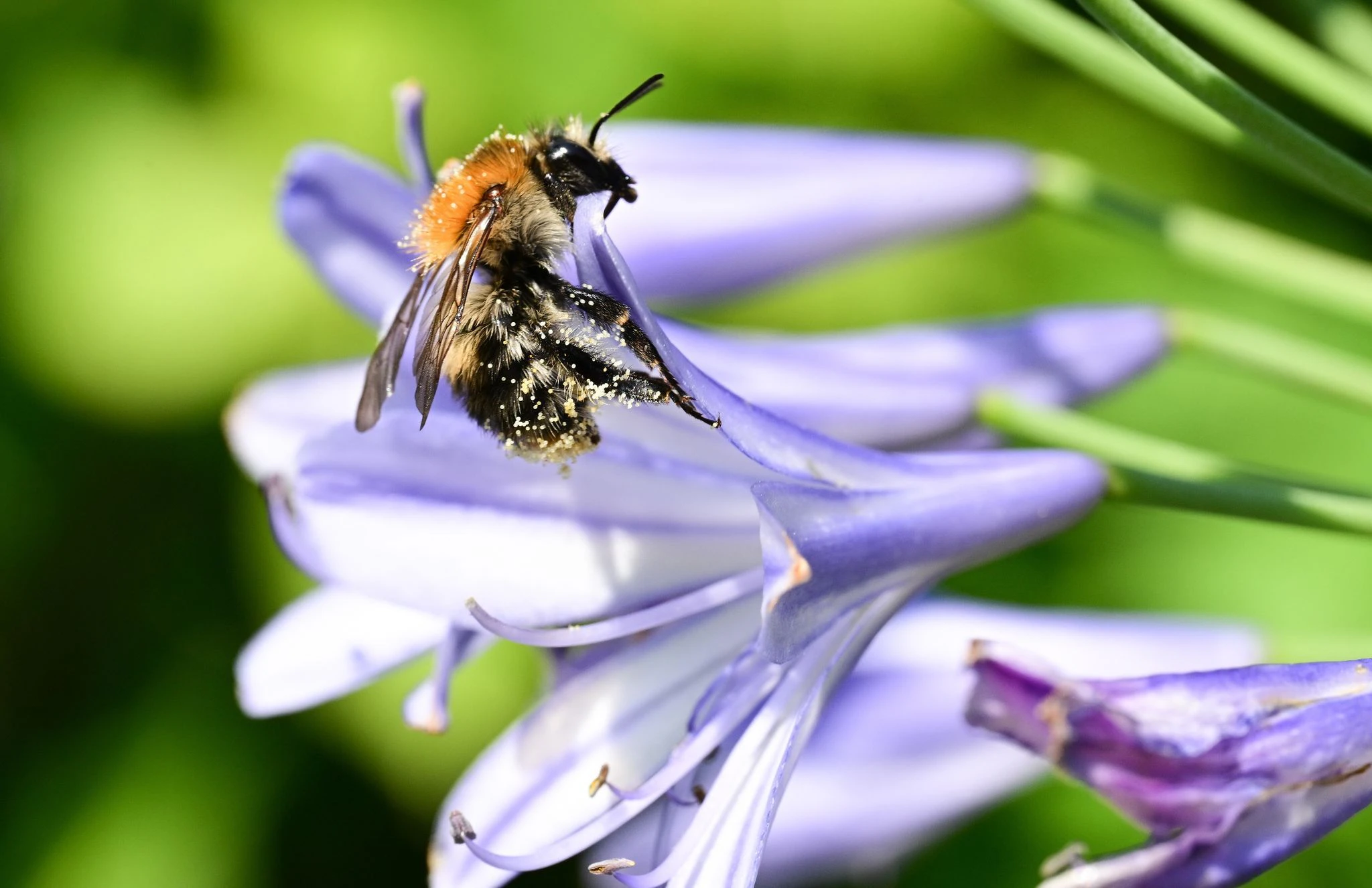 Am Wochenende können Tiere und Menschen aufatmen: Die extreme Hitze ist vorerst vorbei. Die Temperaturen rutschen dem DWD zufolge spätestens am Samstag überall unter die 30-Grad-Marke.  
