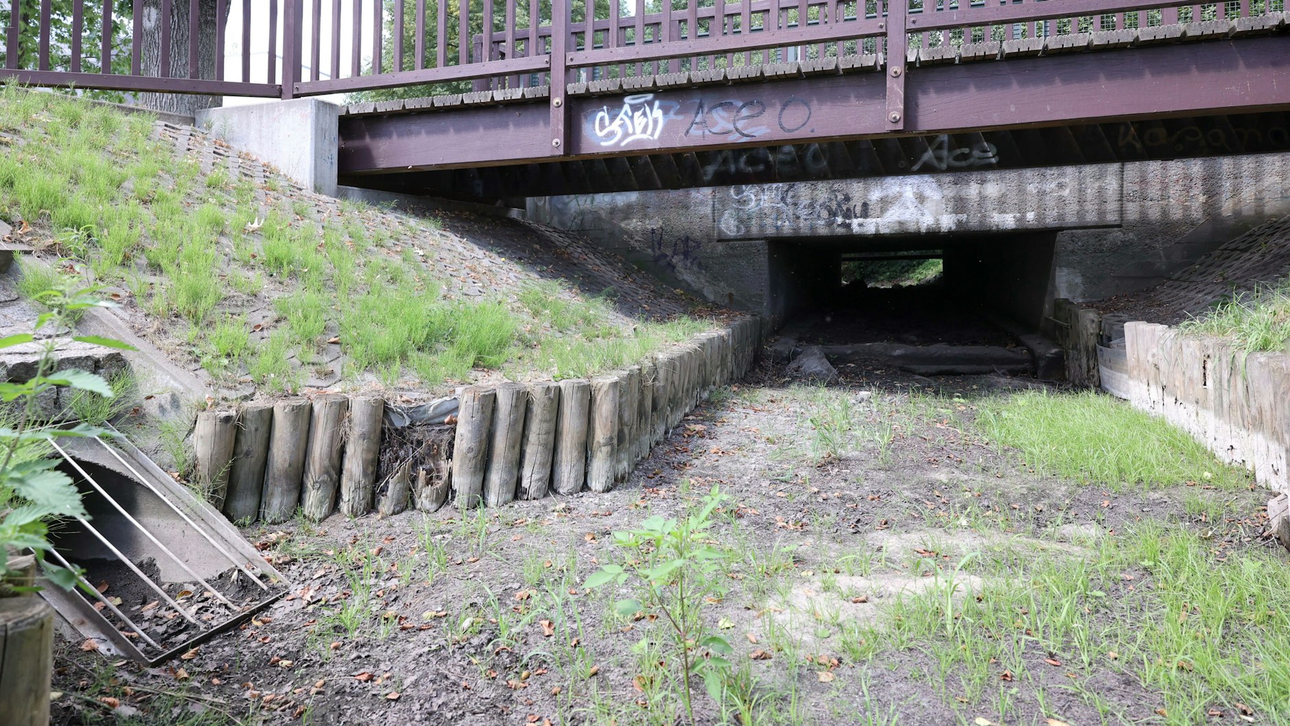 Das Gras beginnt schon zu wachsen: In Panketal, wie hier an der Brücke Schönerlinder Straße, versiegt die Panke.